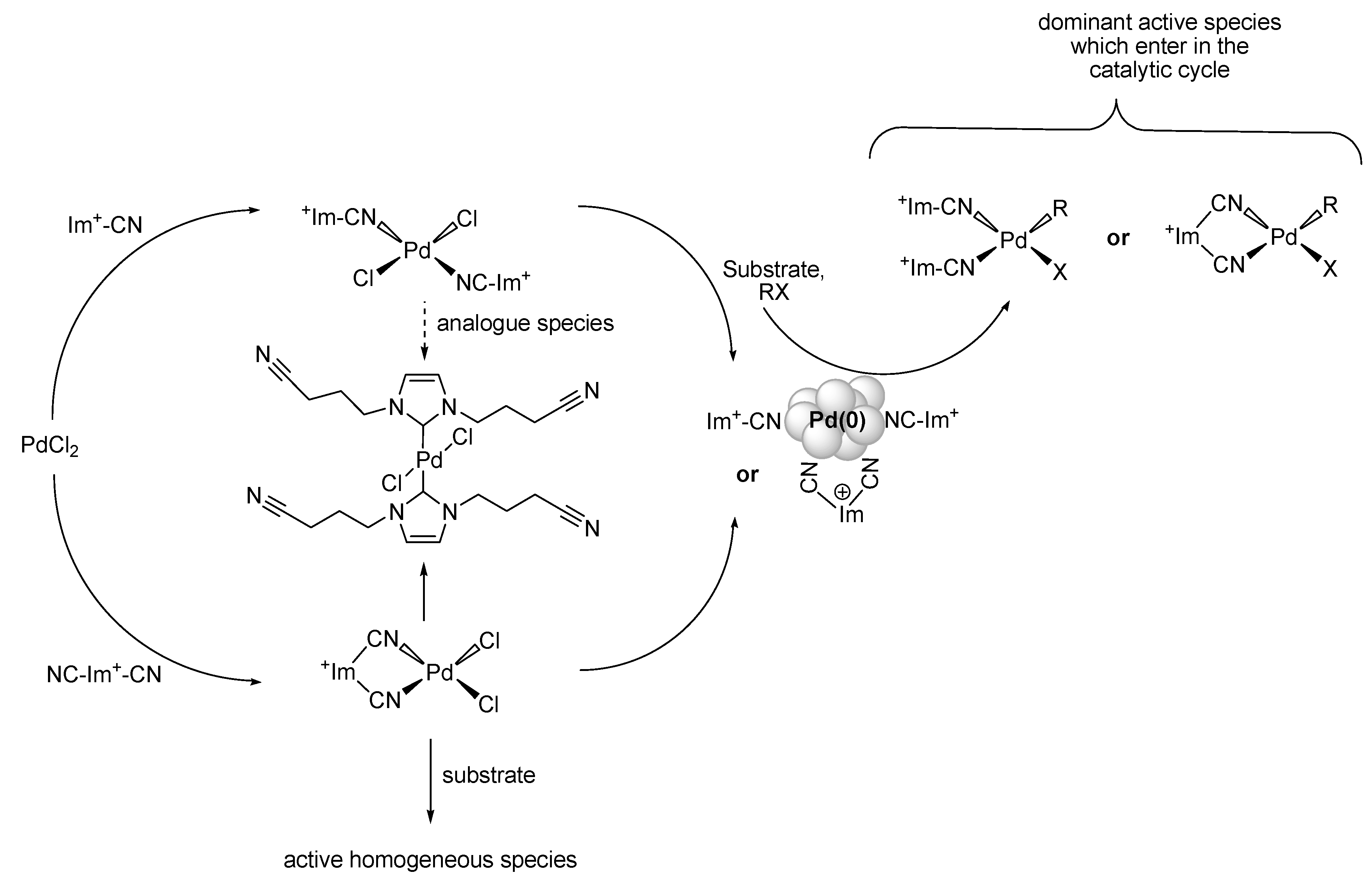Molecules 15 03441 g007