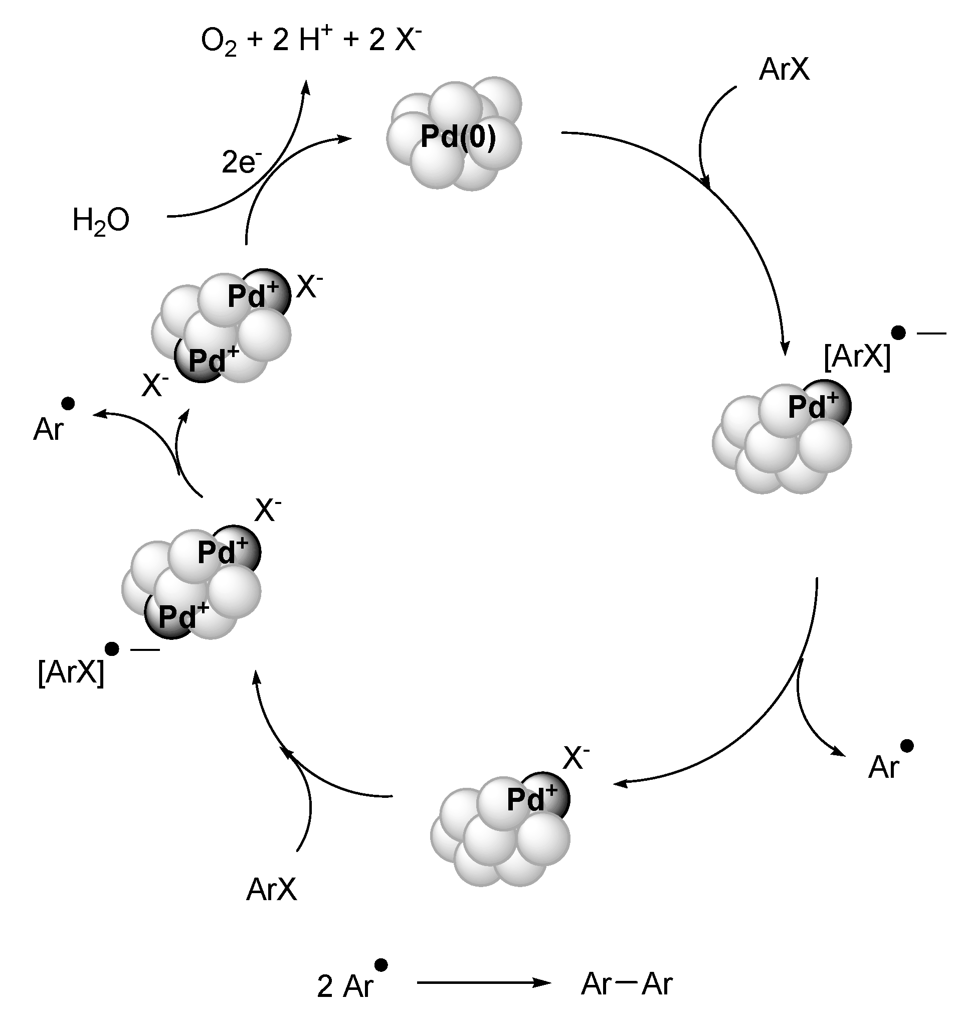 Molecules 15 03441 g012