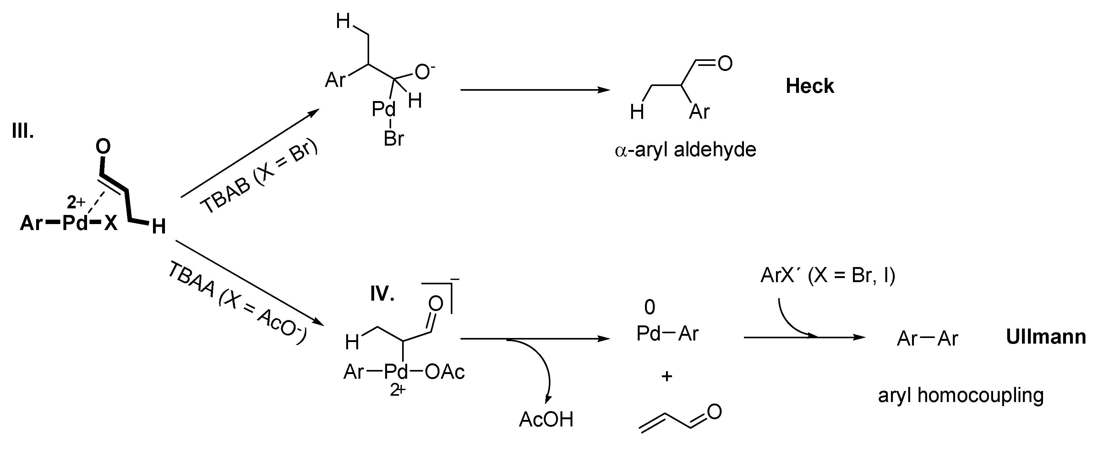 Molecules 15 03441 g014