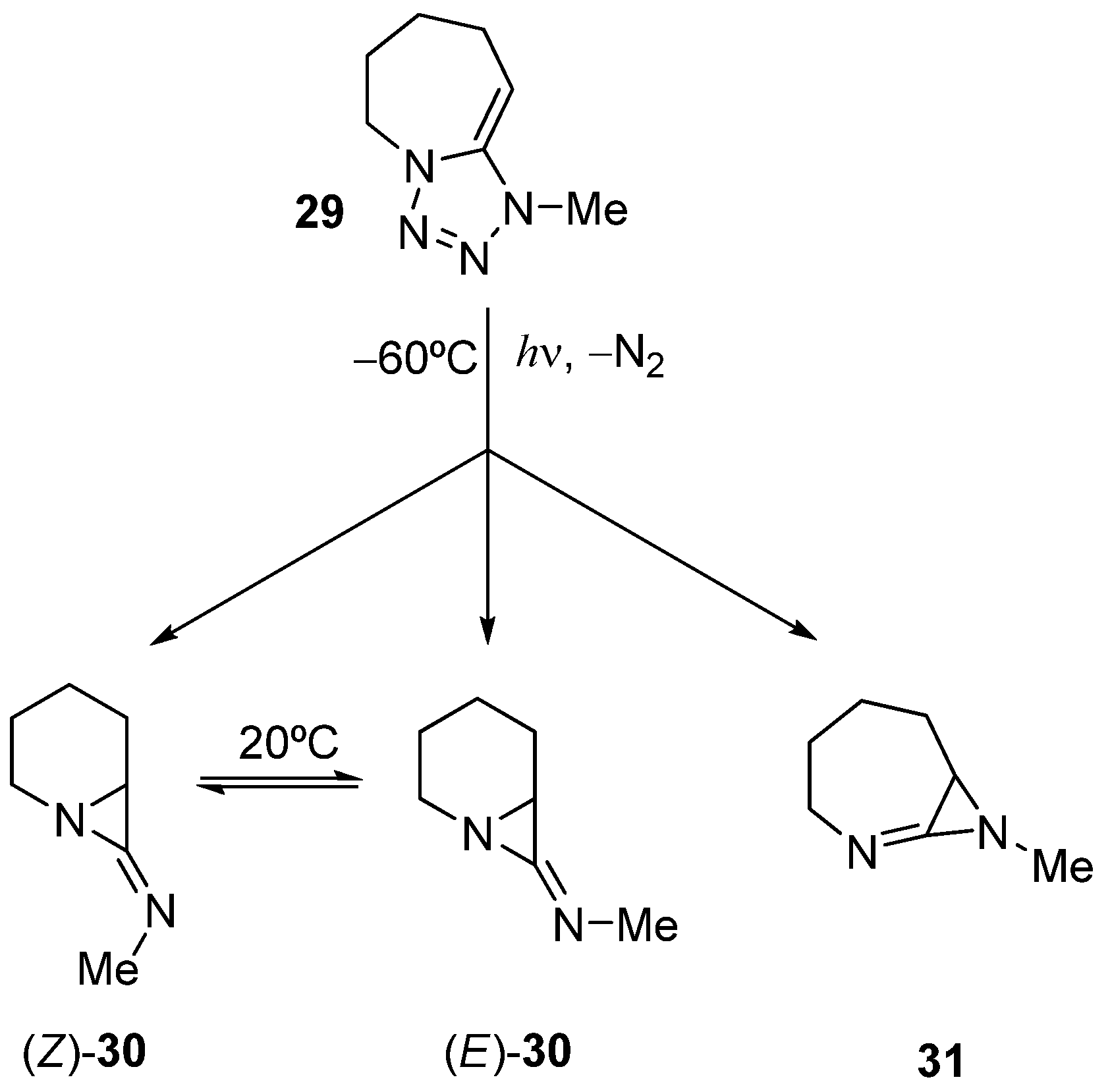 Molecules 15 03757 sch009 550