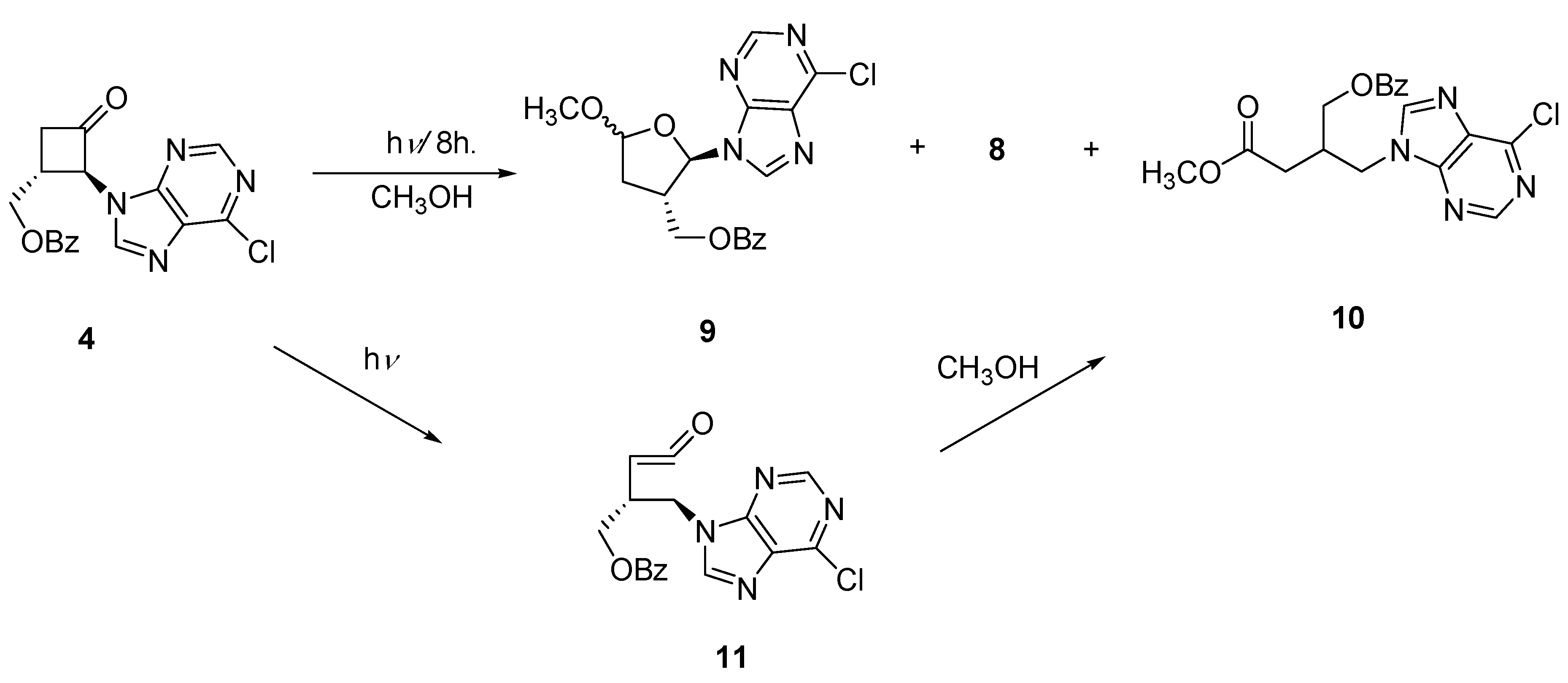 Molecules 15 03816 g007