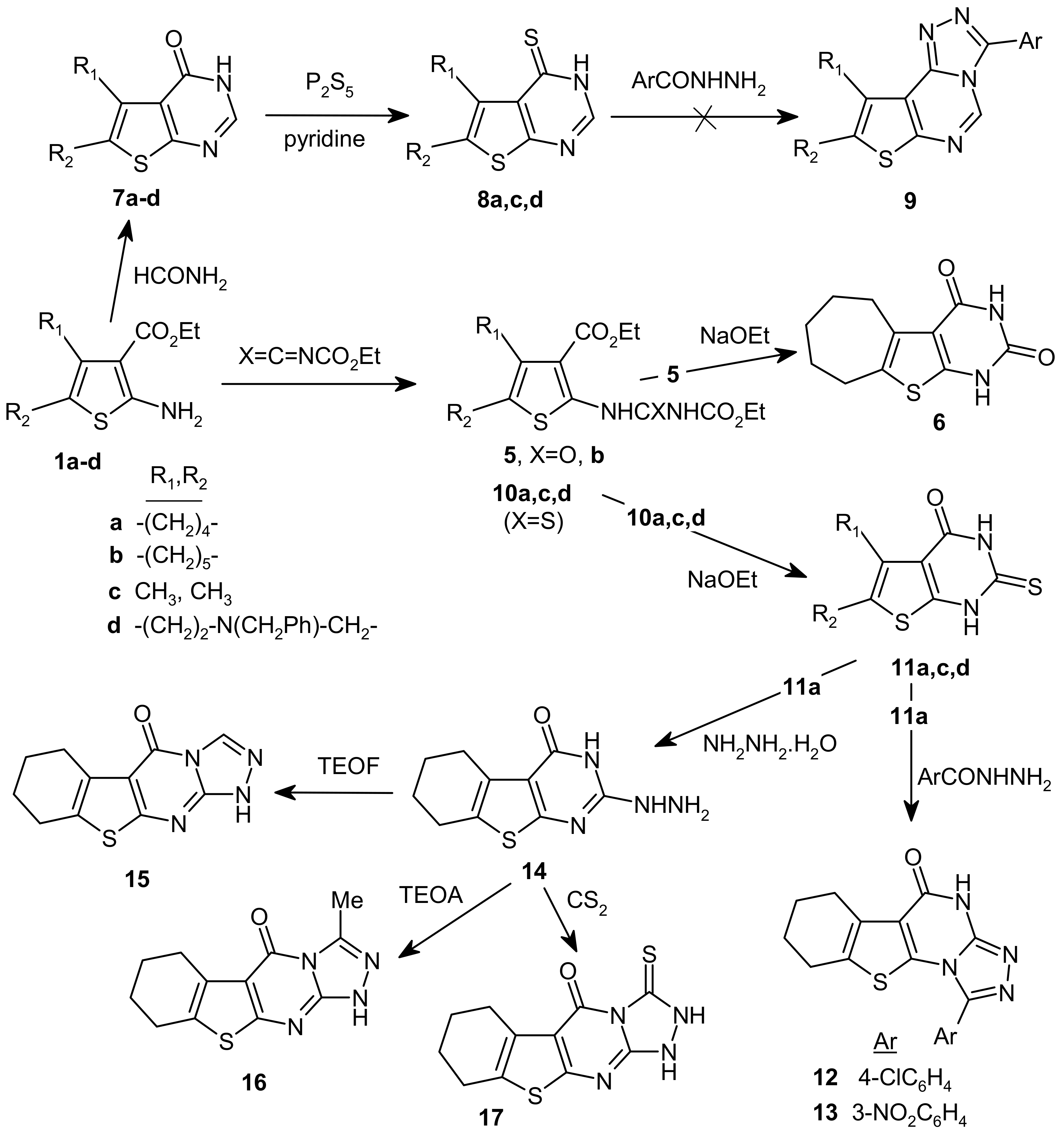 Molecules 15 03932 sch002 550