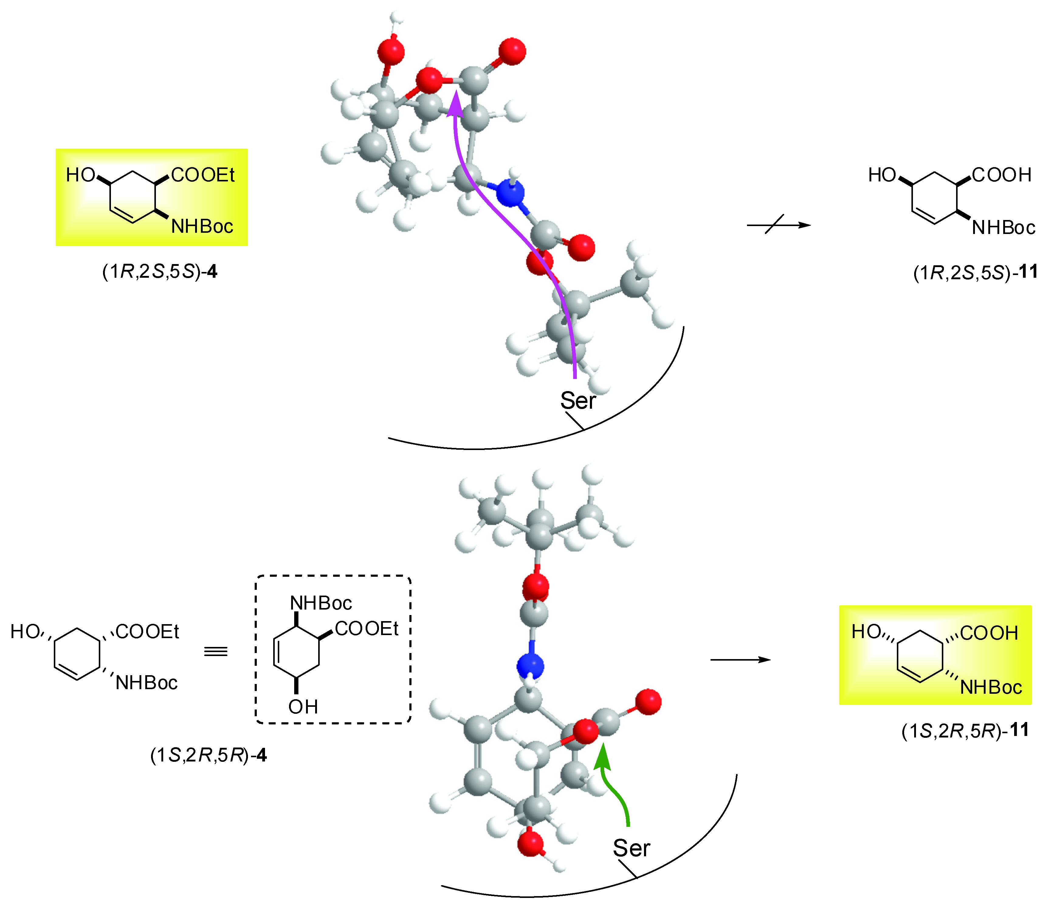 Molecules 15 03998 g002 550