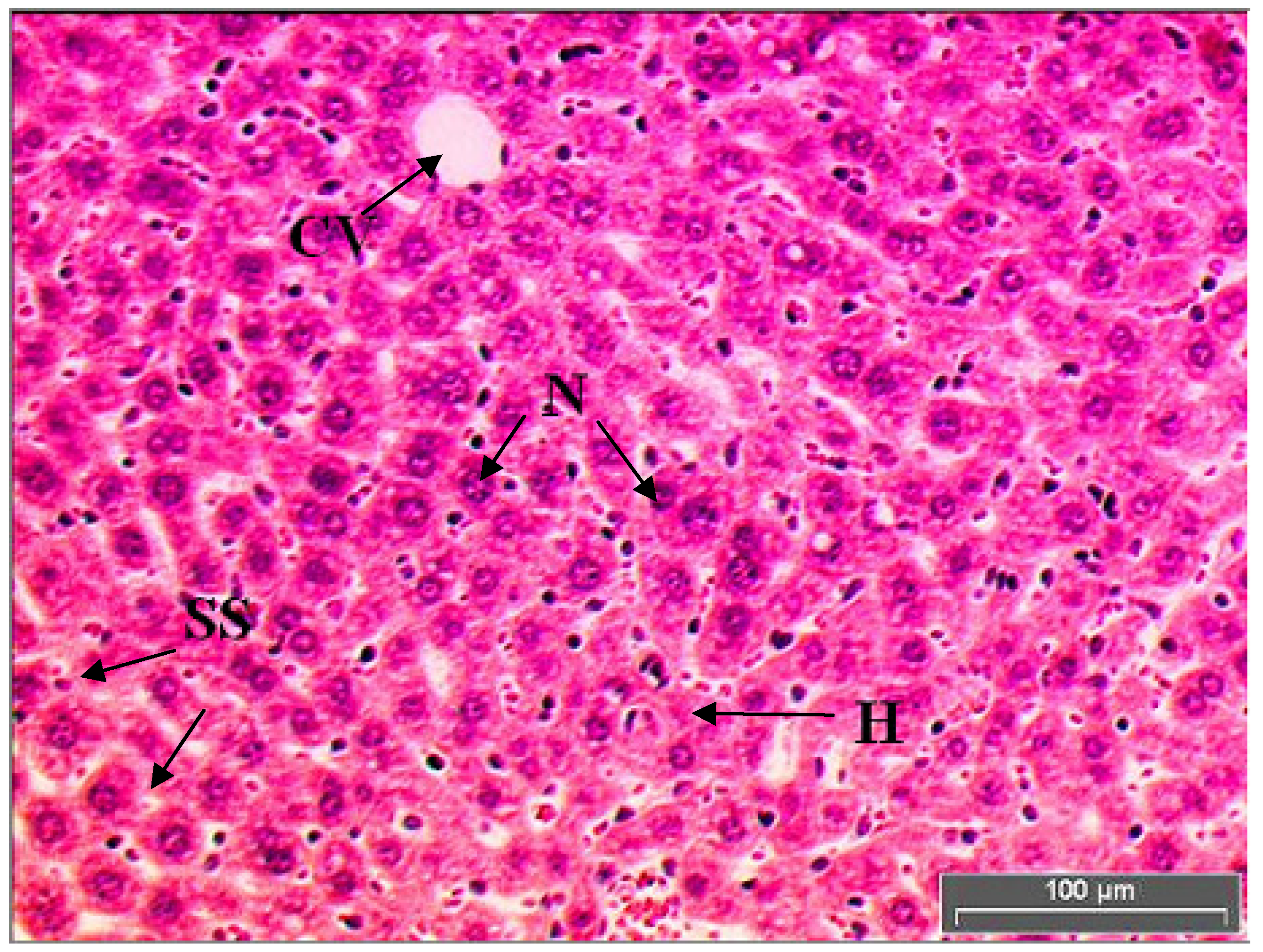 Molecules 15 04478 g002 550