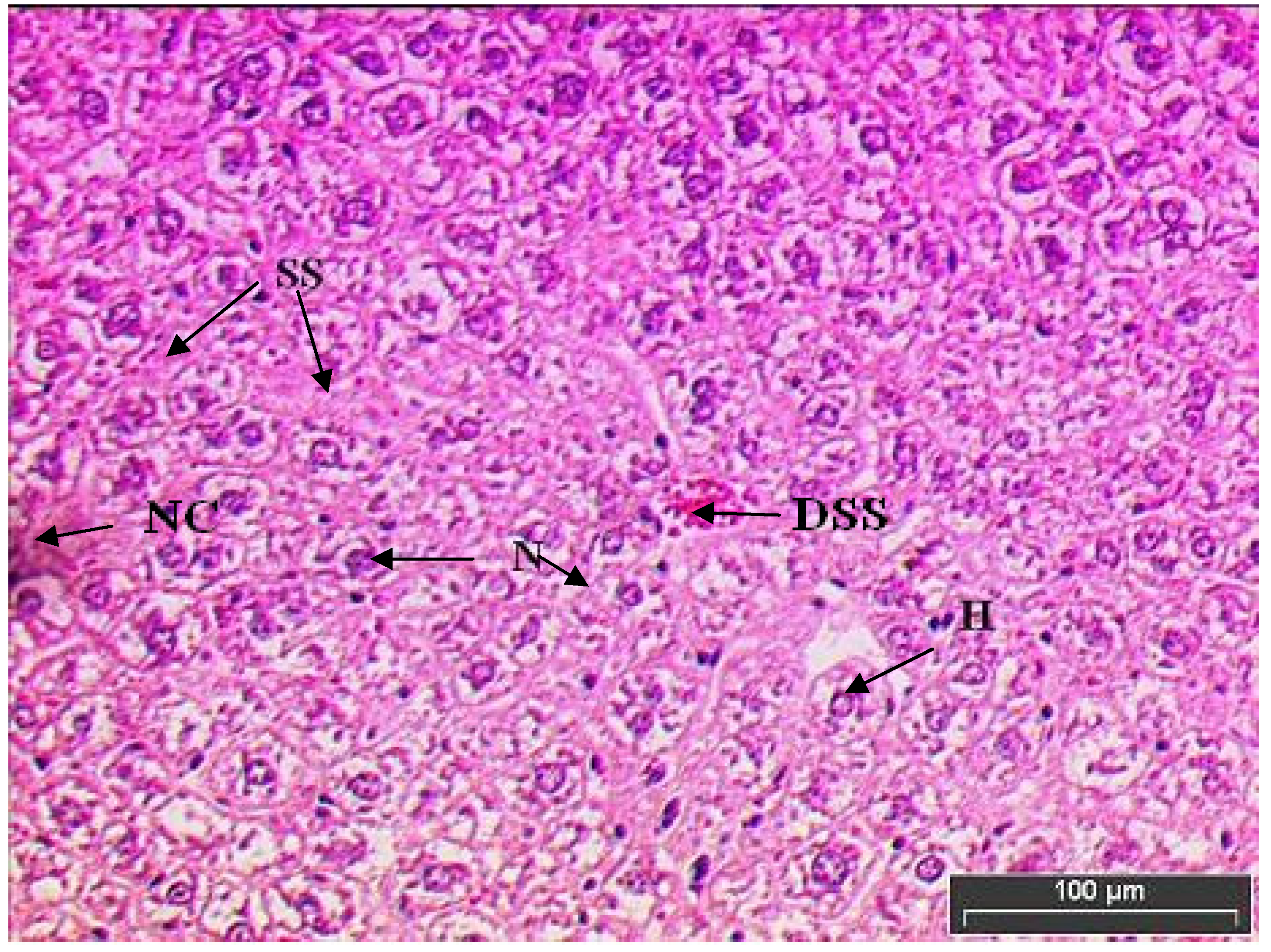 Molecules 15 04478 g004 550