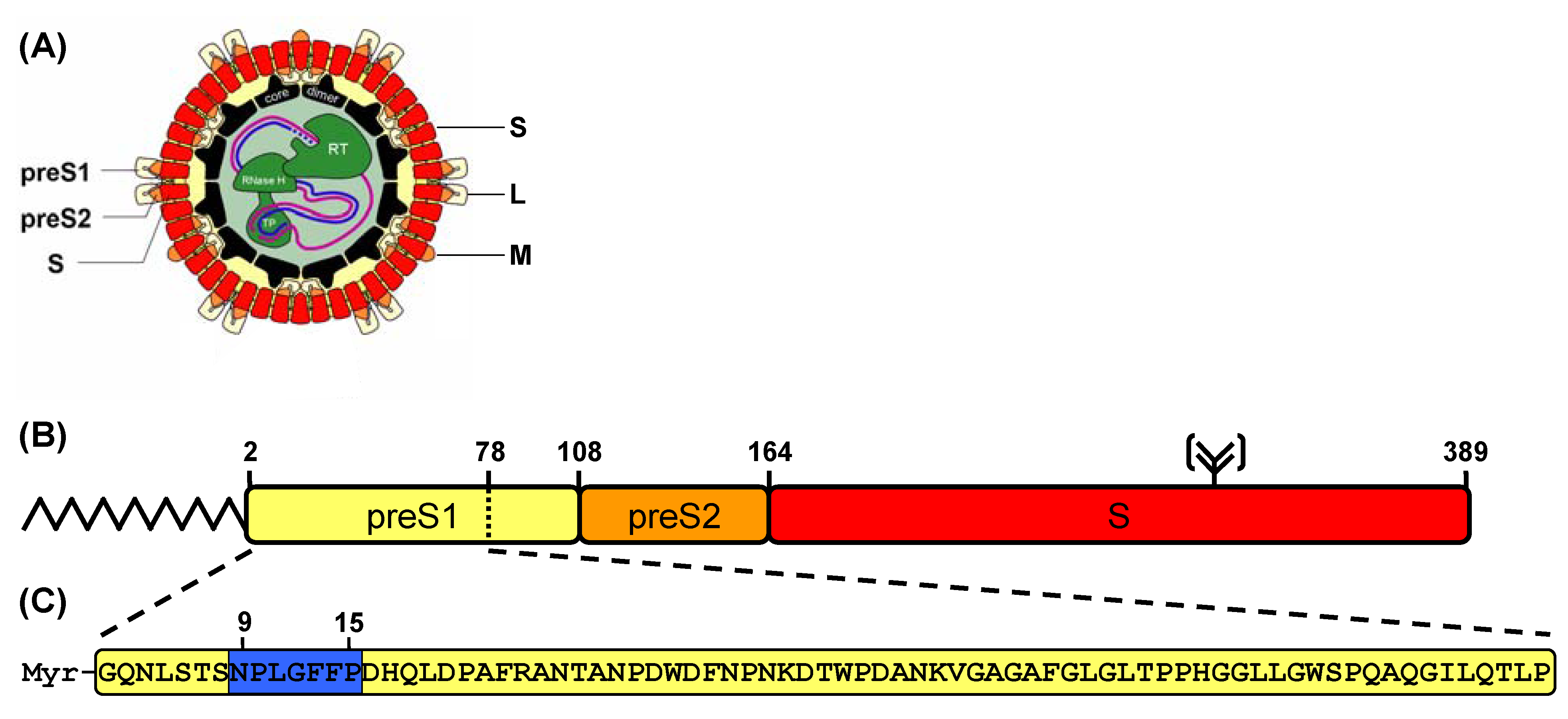 Molecules 15 04773 g001 550
