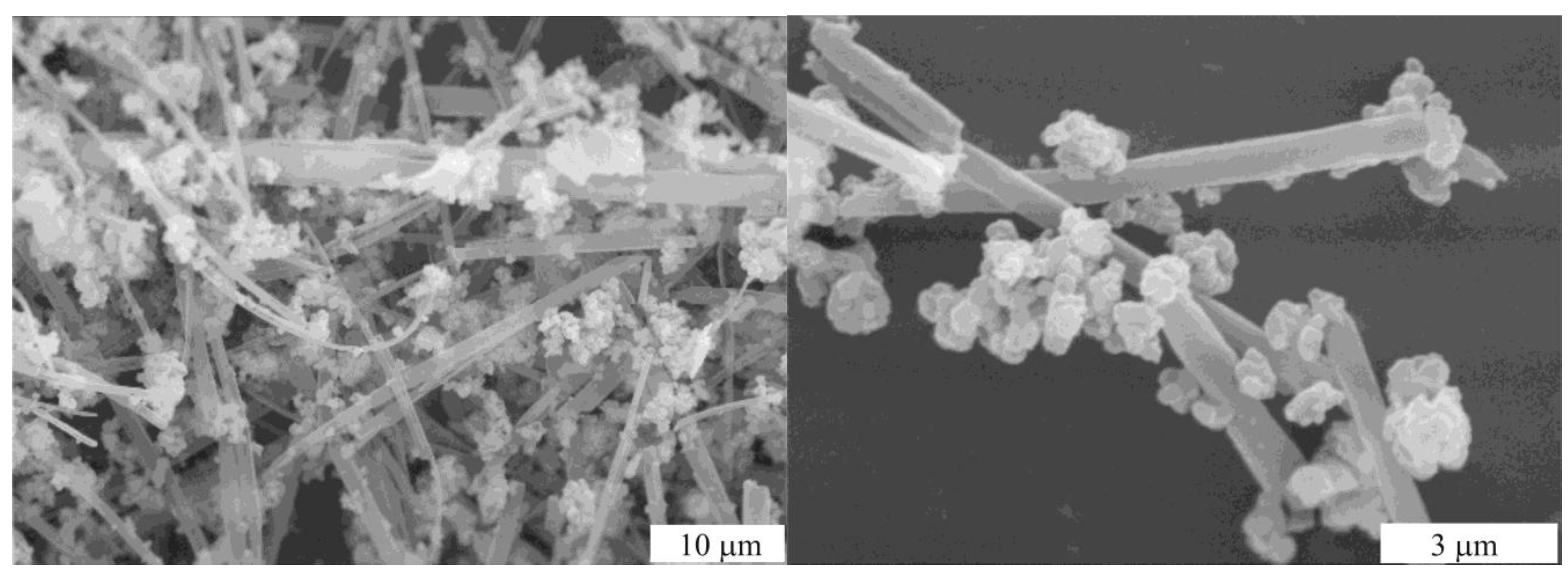 Molecules 15 04792 g024 550