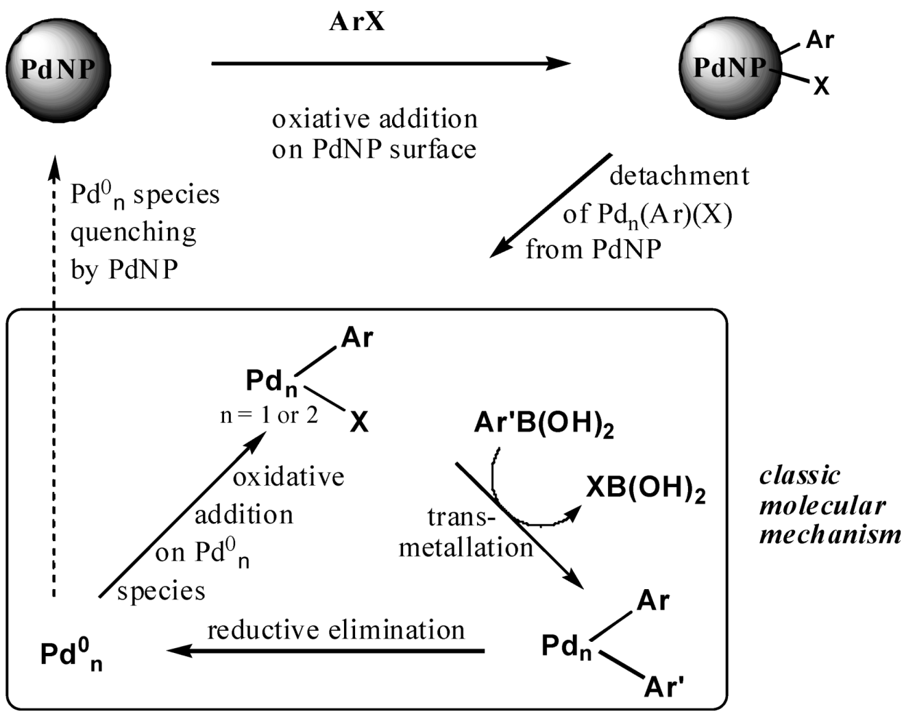 Molecules 15 04947 g004