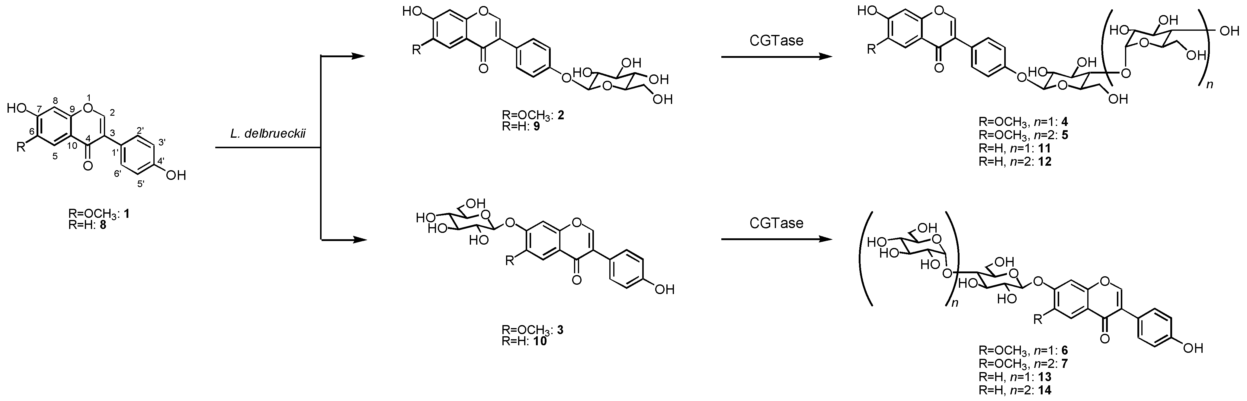 Molecules 15 05153 g001