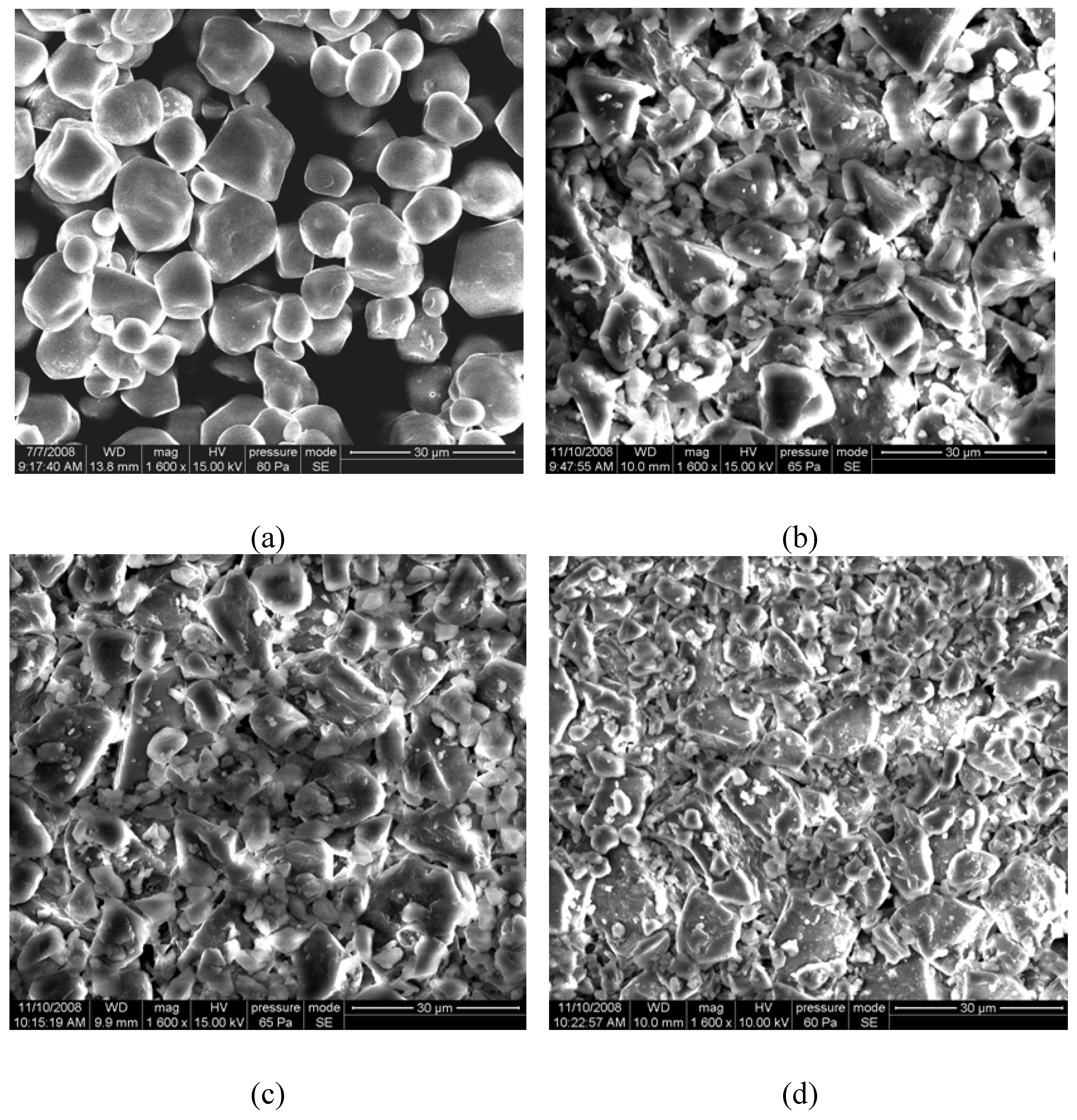 Molecules 15 05162 g001