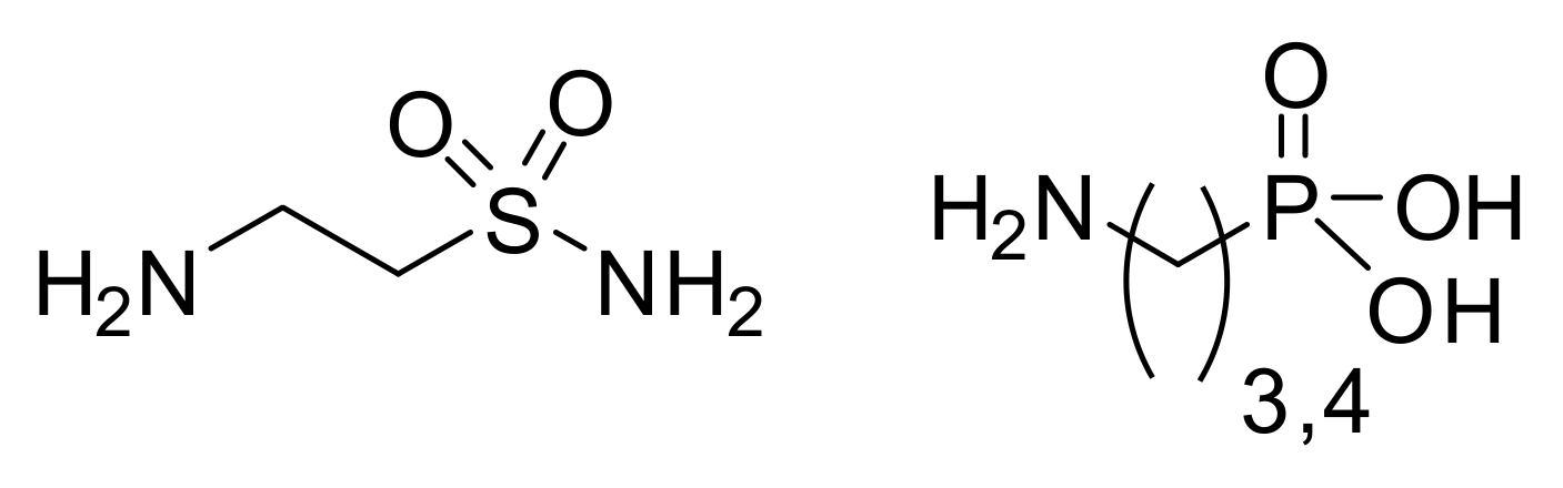 sulfa n prostatita