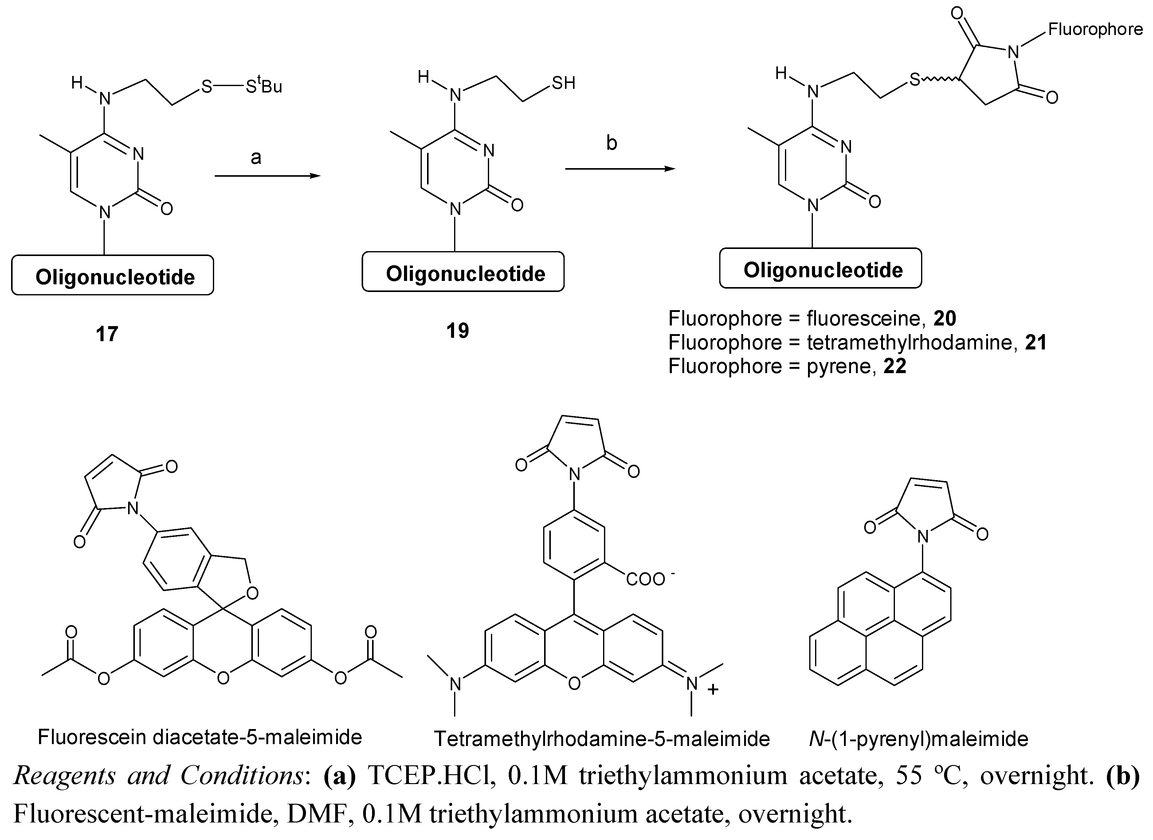 Molecules 15 05692 g006 550