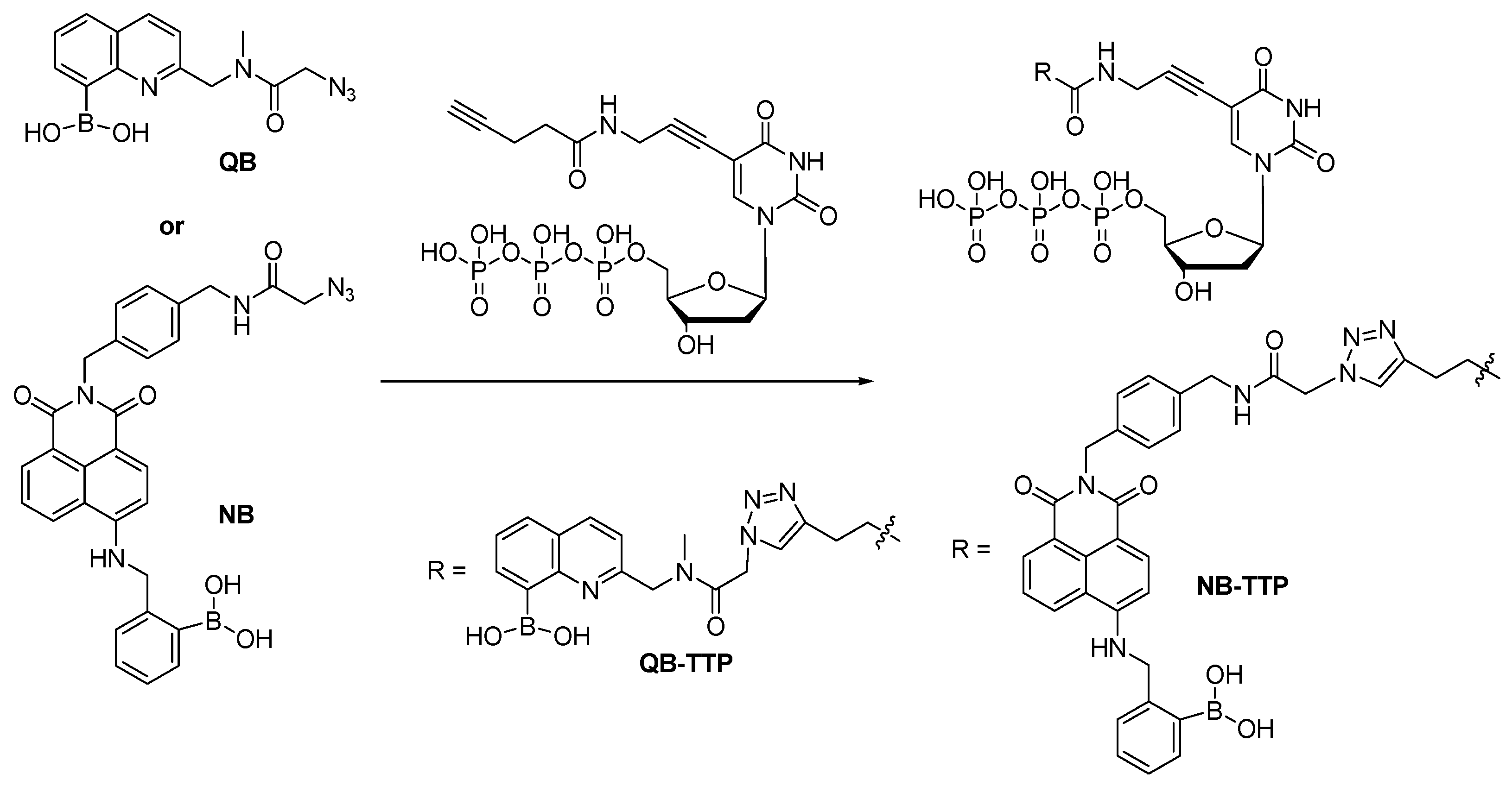 Molecules 15 05768 g001