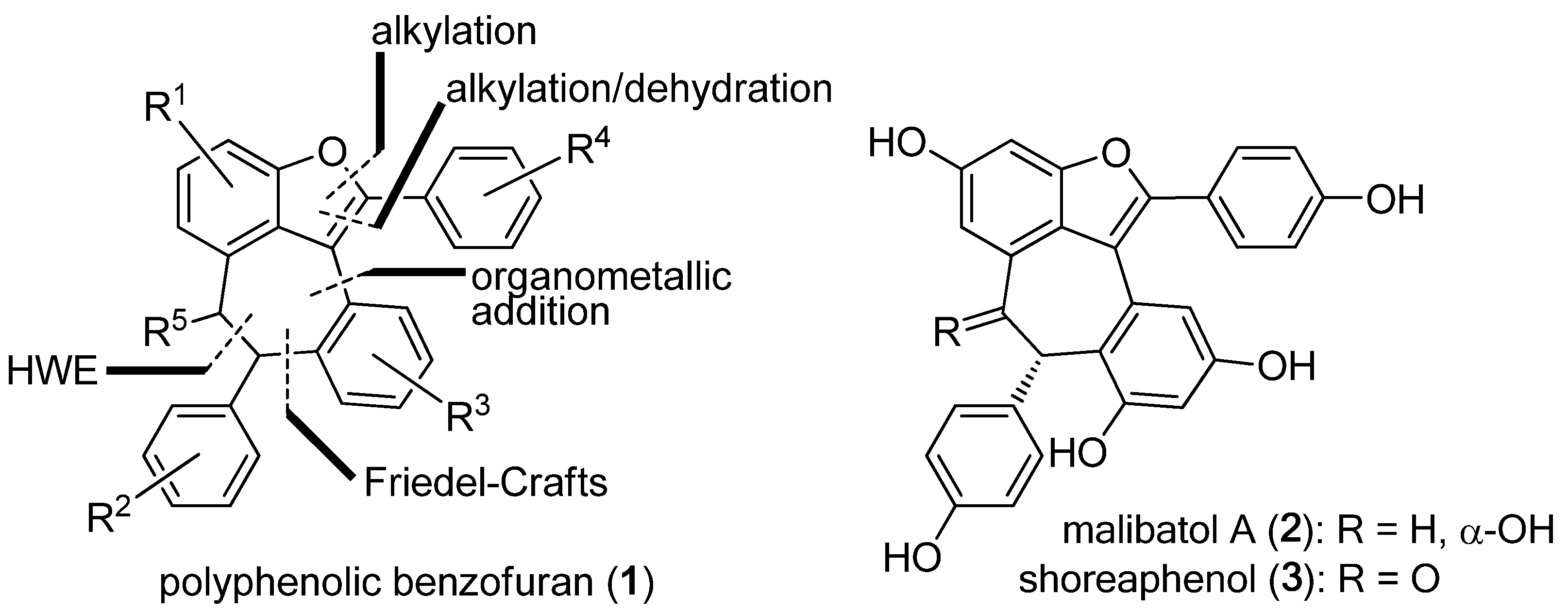 Molecules 15 05909 g001 550