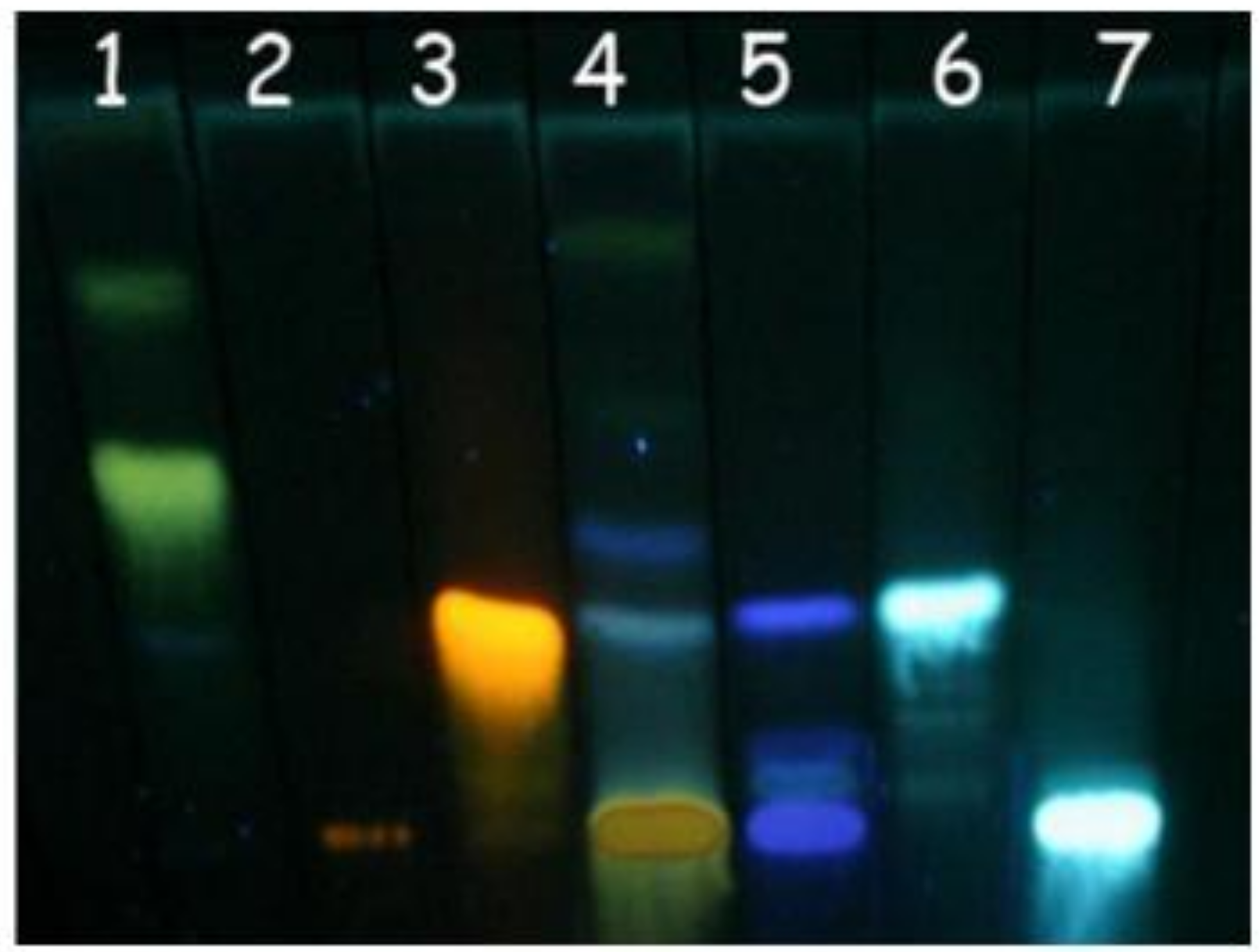 Molecules 15 05956 g001