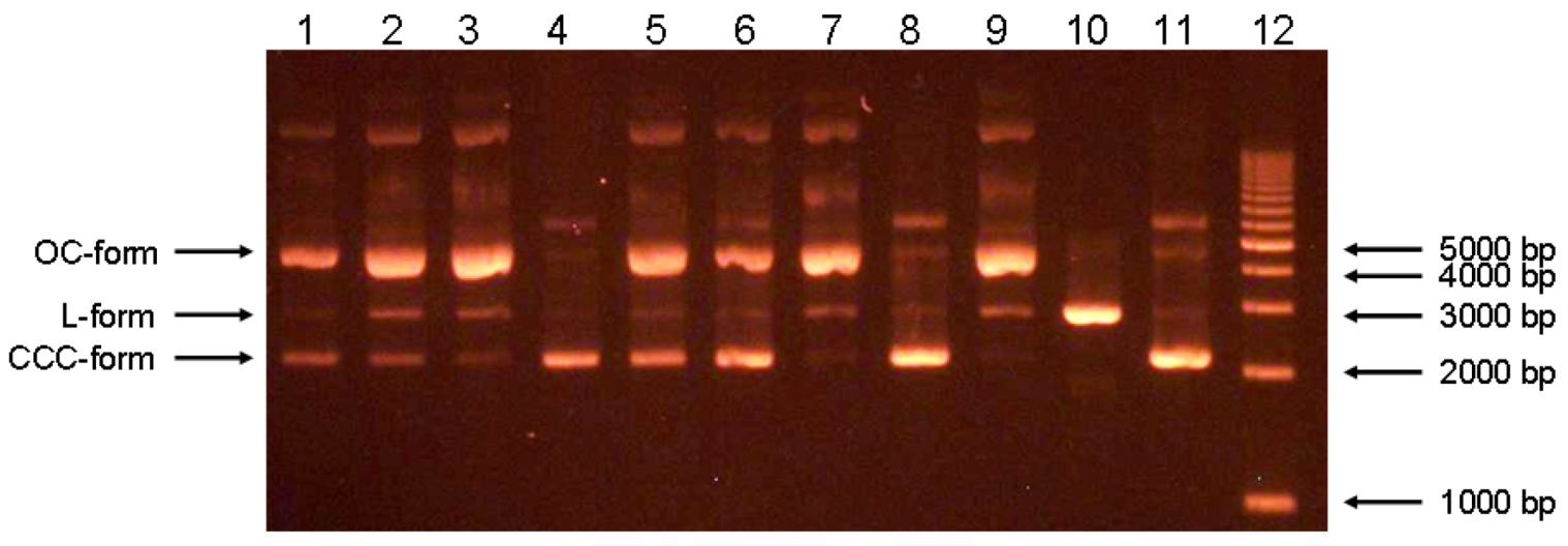 Molecules 15 06035 g006