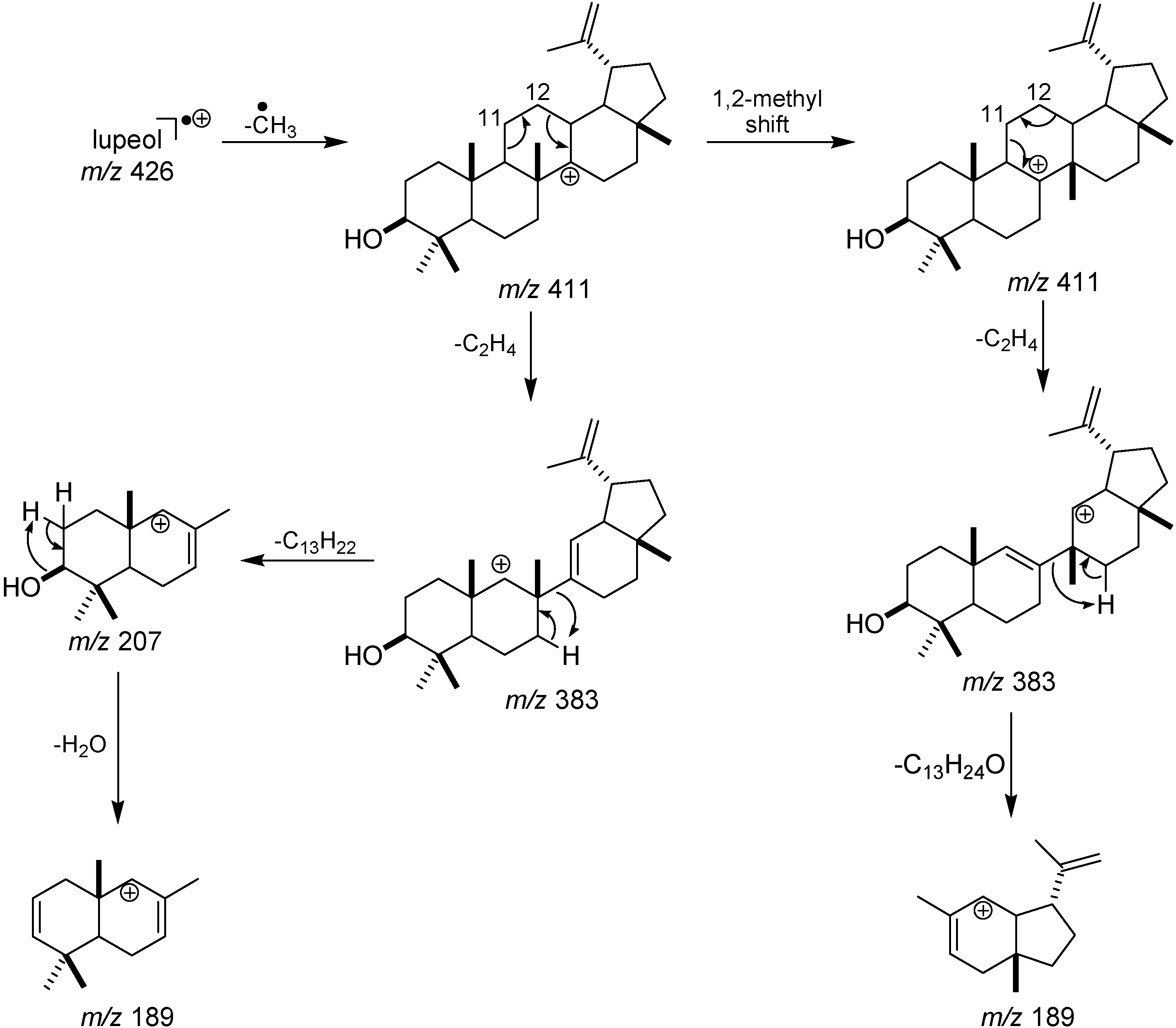 Molecules 15 06140 g003 550