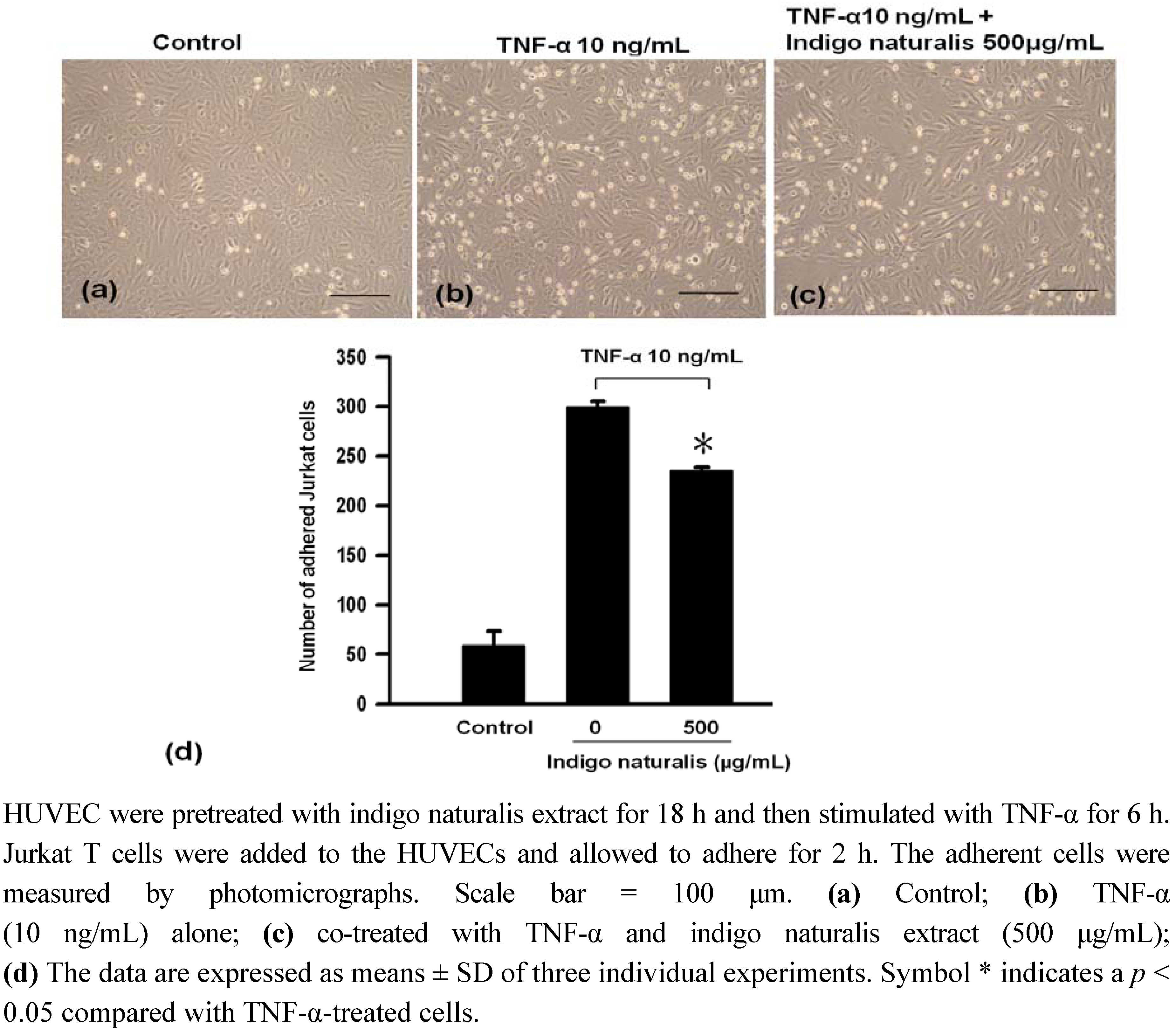 Molecules 15 06423 g001 550