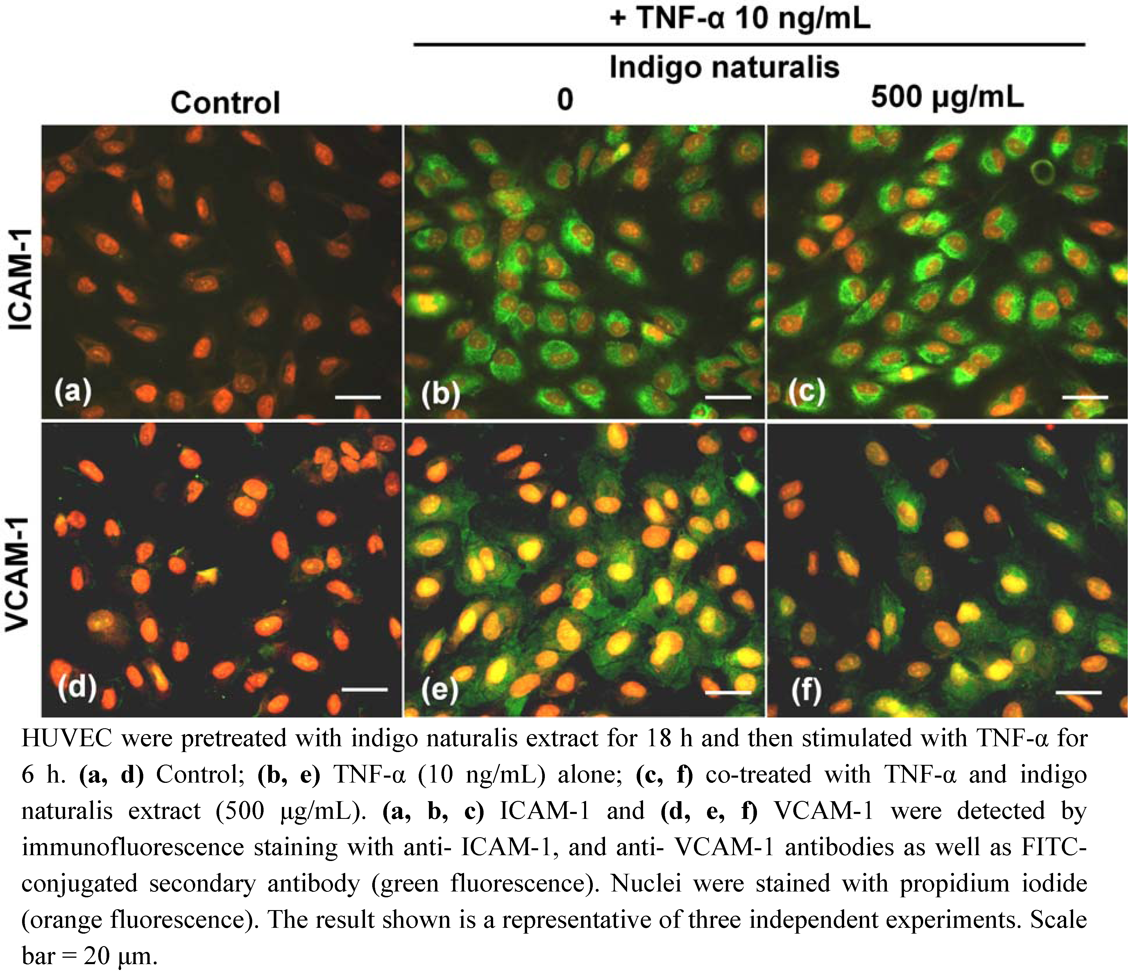 Molecules 15 06423 g002 550