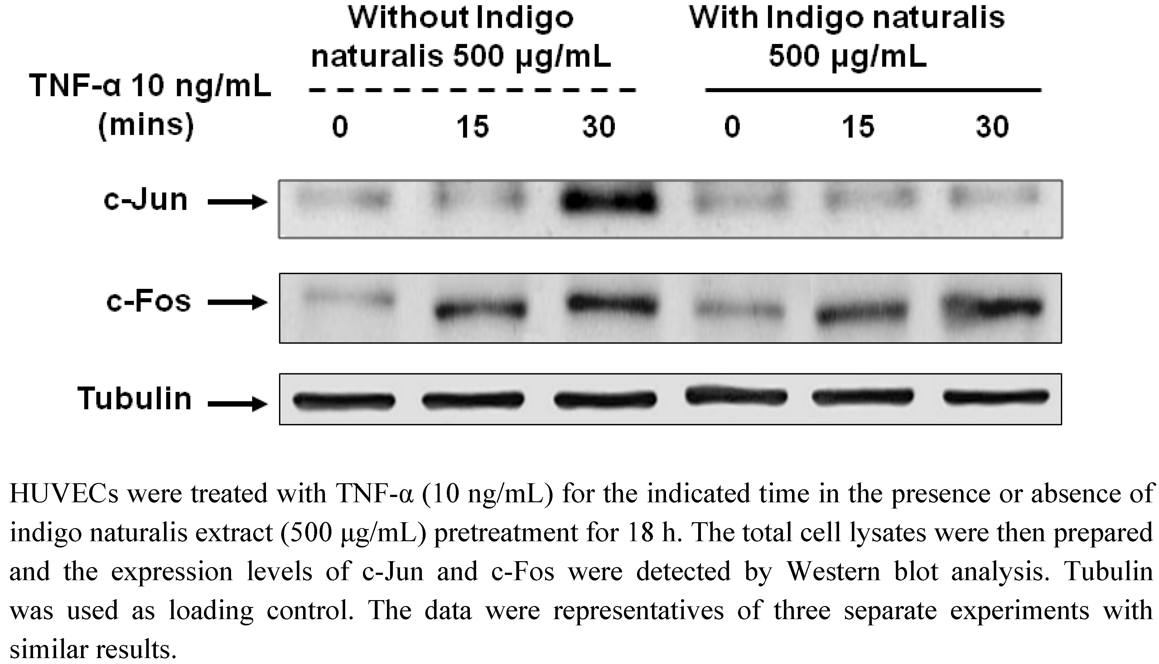 Molecules 15 06423 g005 550