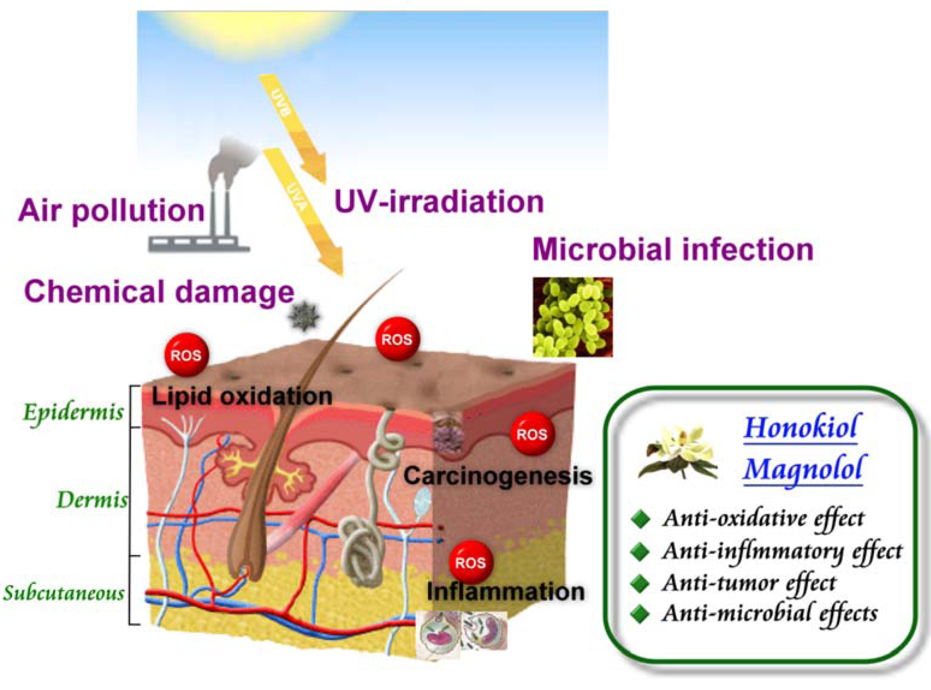 Molecules 15 06452 g003