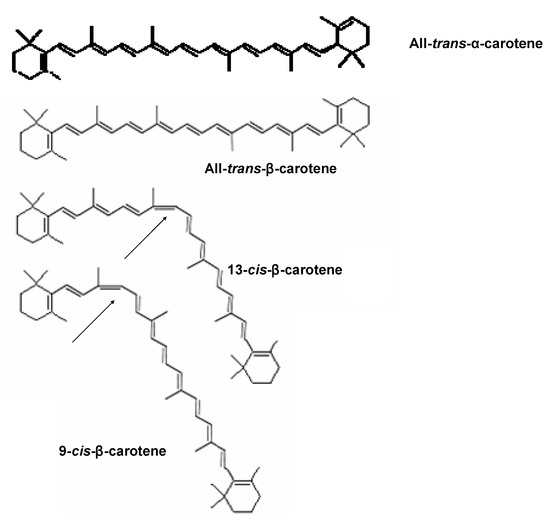 Molecules Free FullText Carotenoids from Mangifera Pajang and