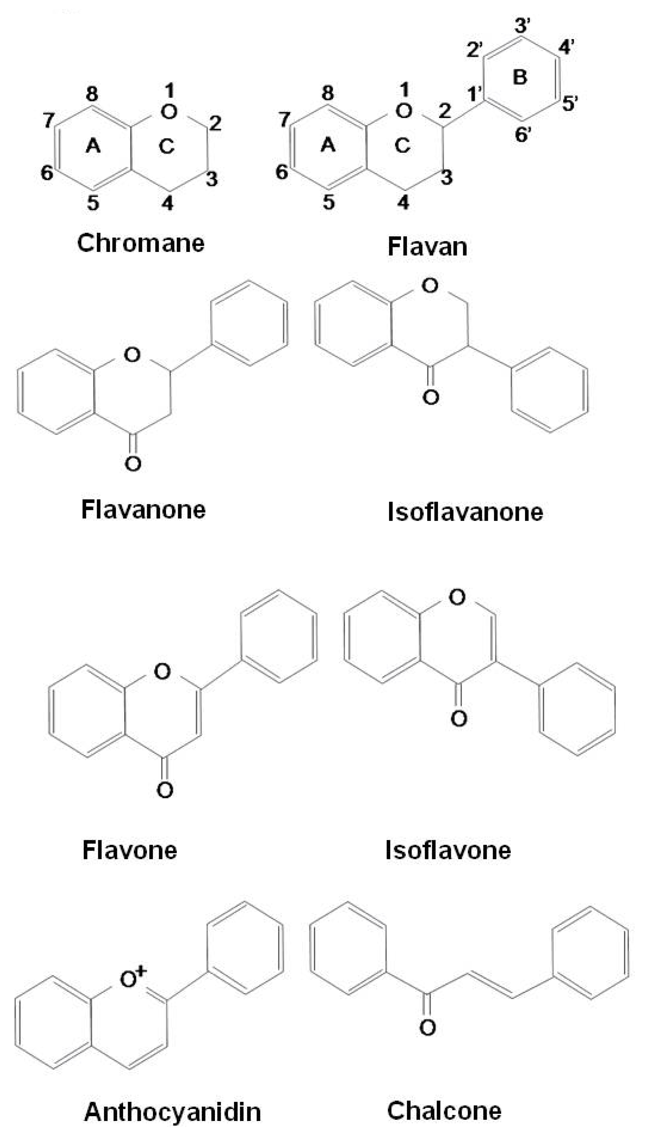 Molecules 15 06810 g001
