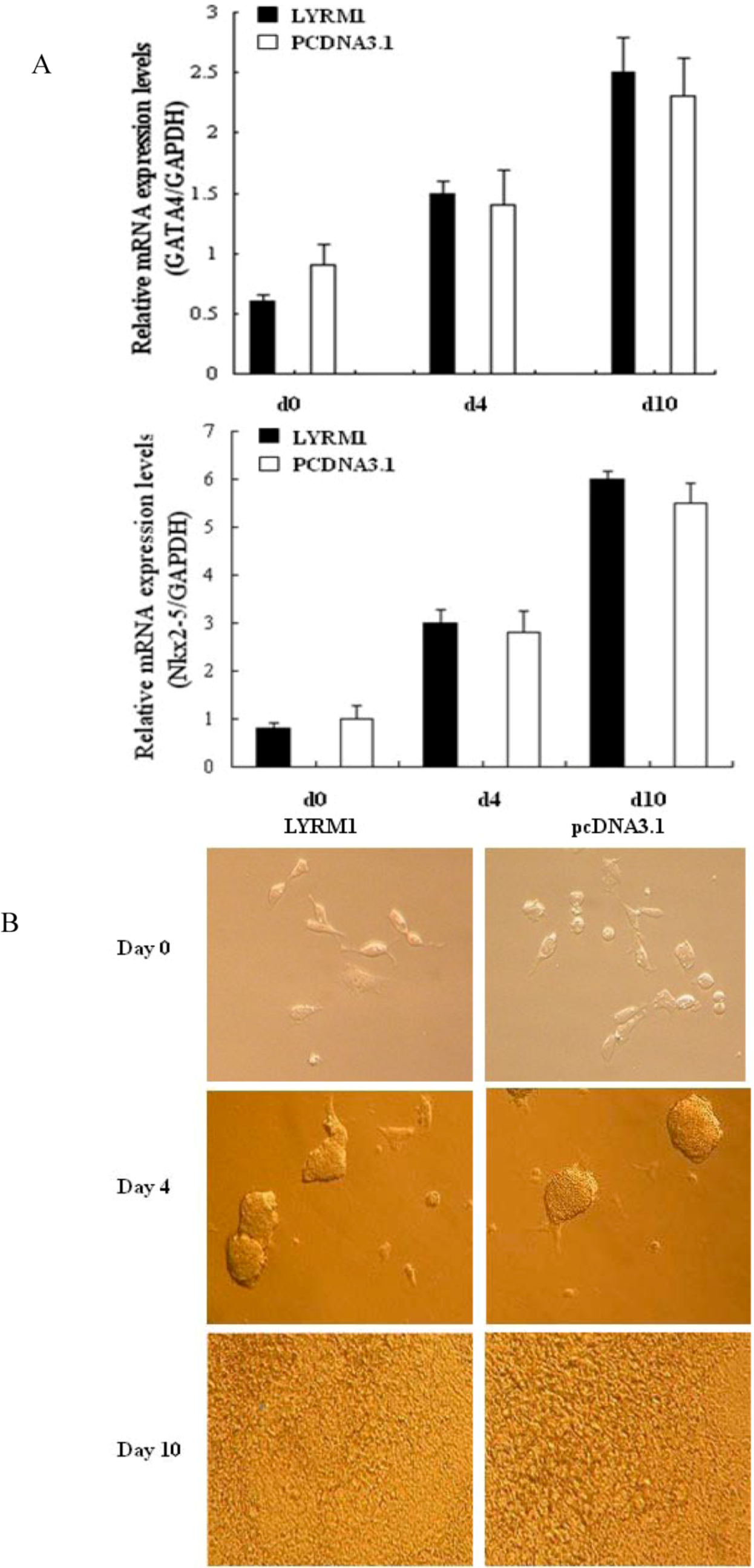 Molecules 15 06974 g001 550