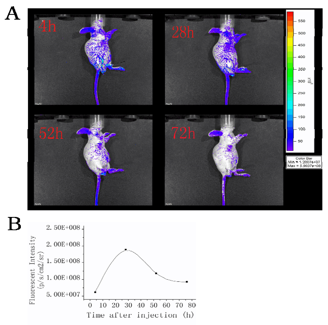 Molecules 15 06983 g003