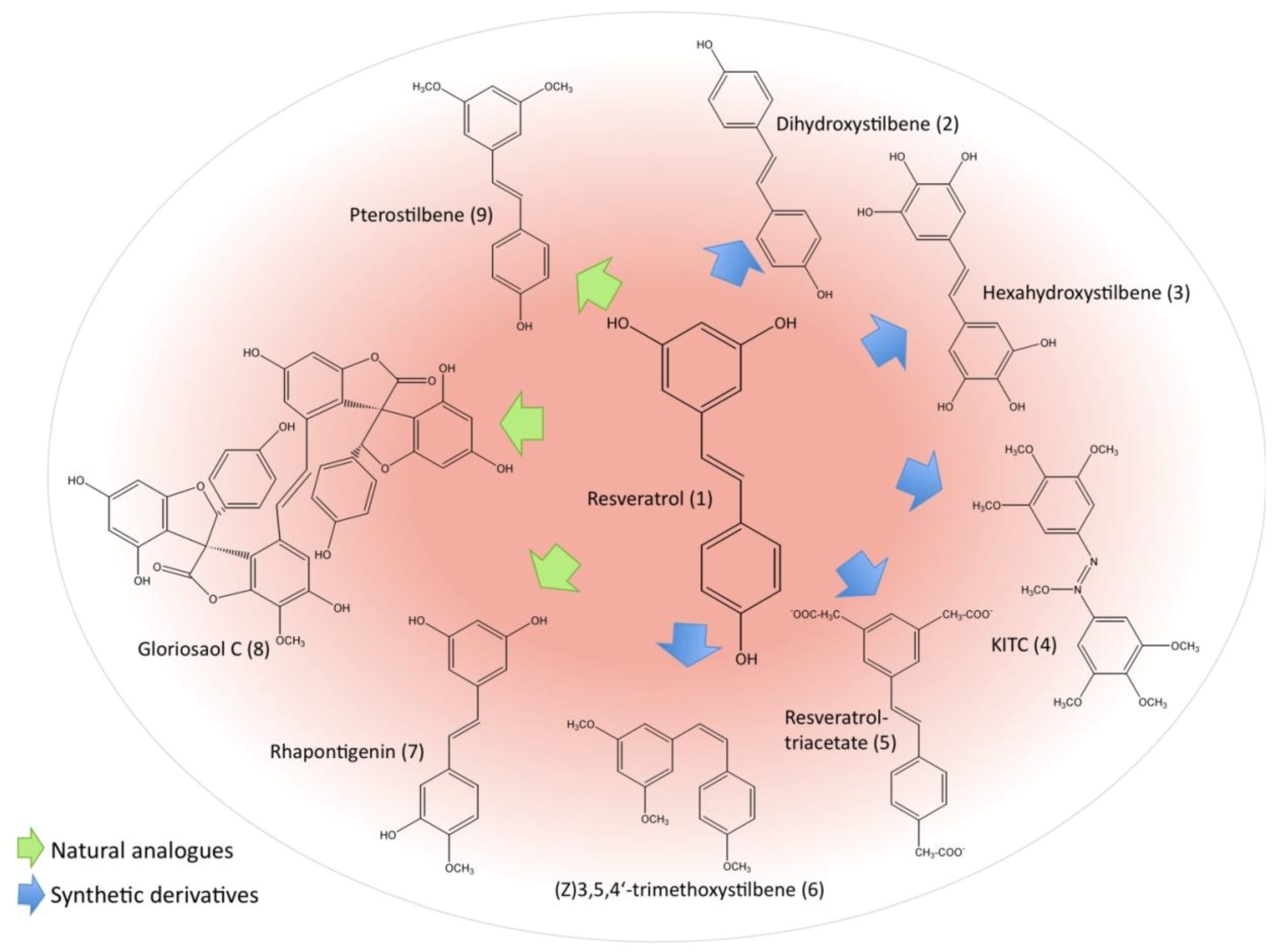 Molecules 15 07035 g002