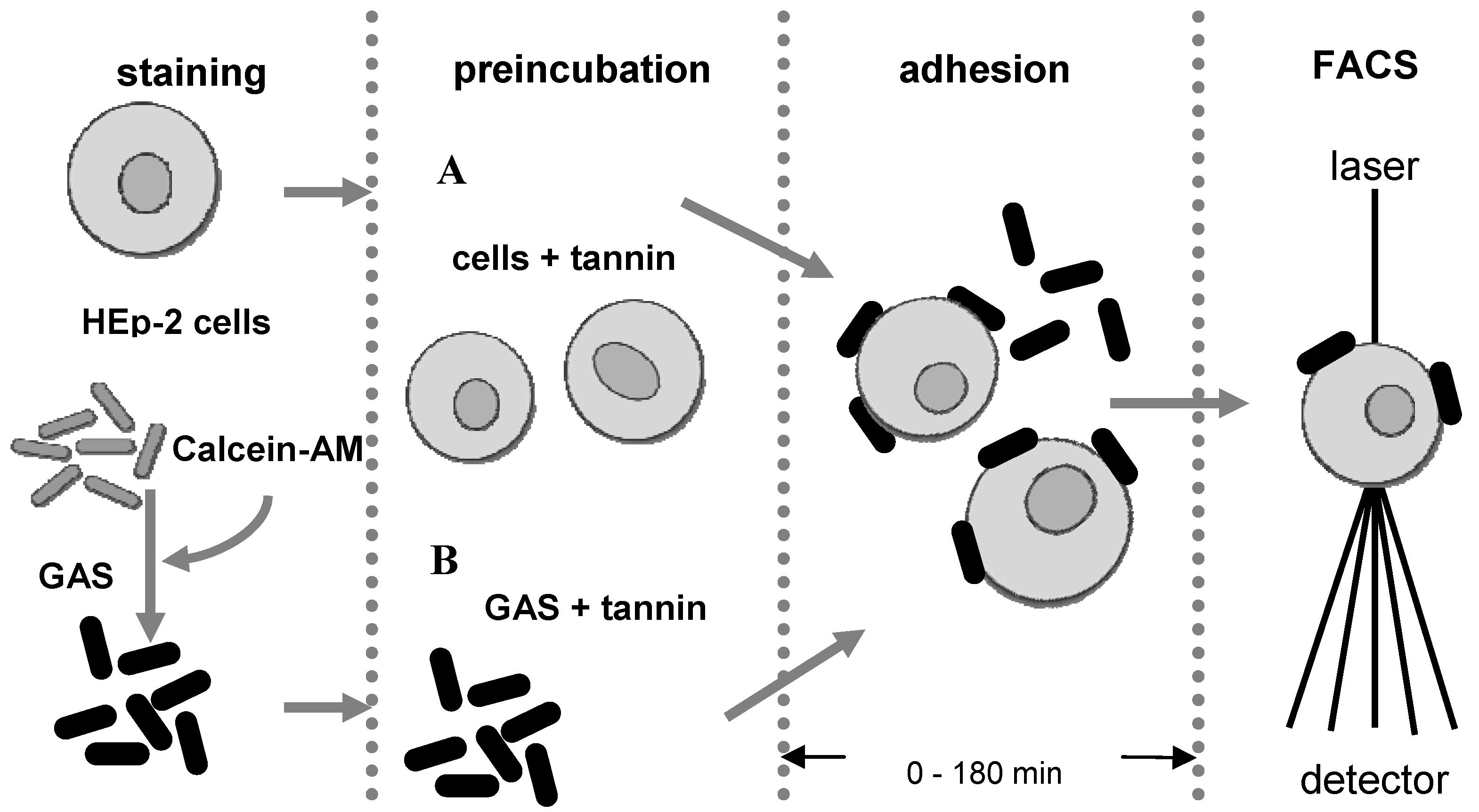 Molecules 15 07139 g001