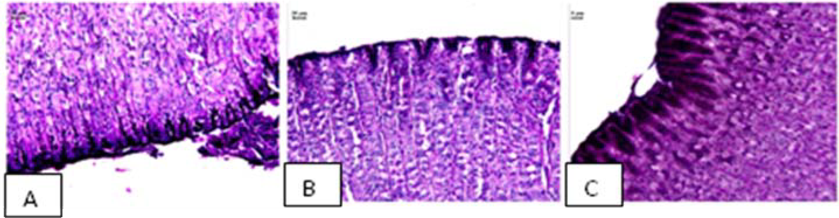Molecules 15 07153 g006 550