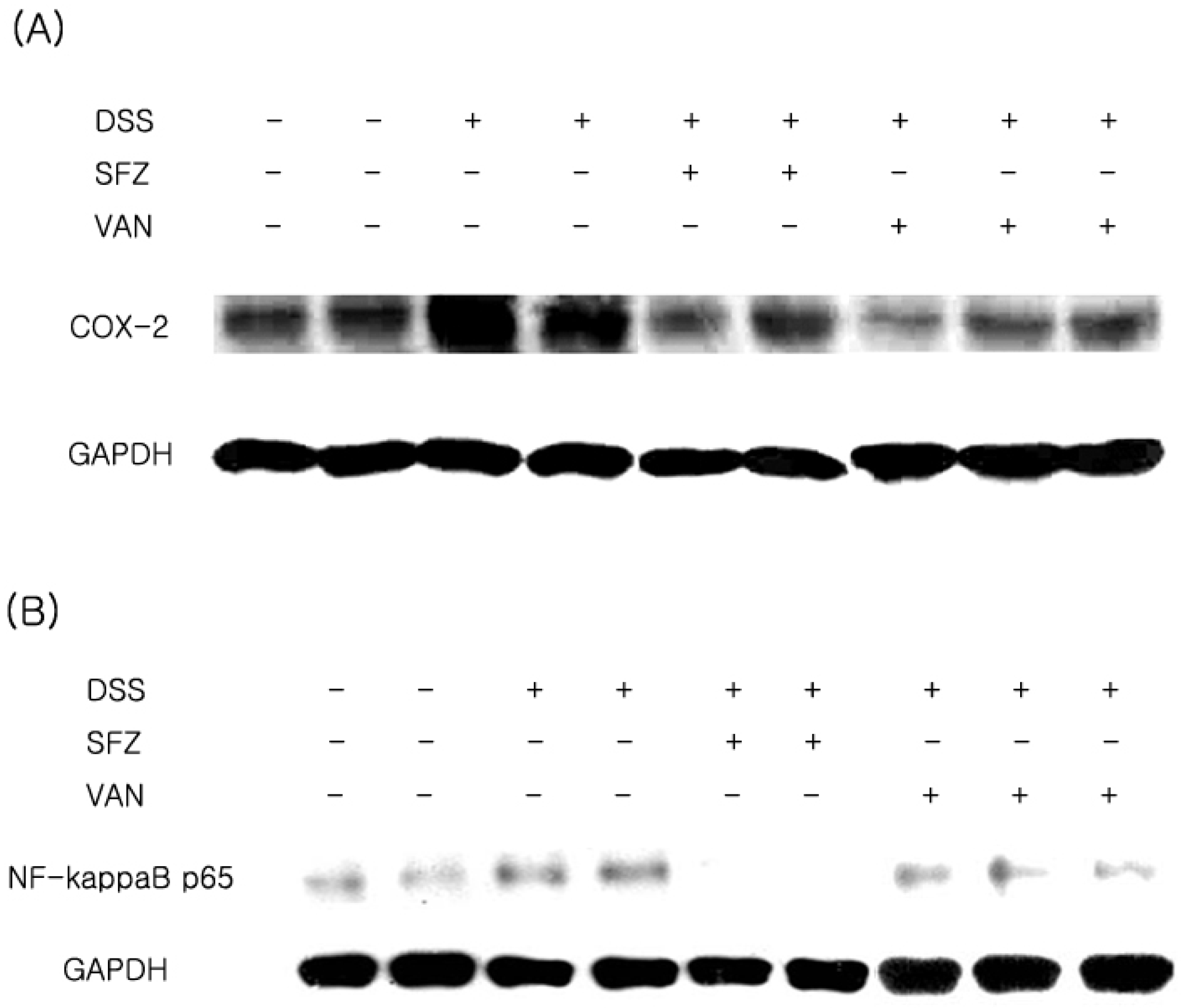 Molecules 15 07208 g003 Molecules 15 07208 g003