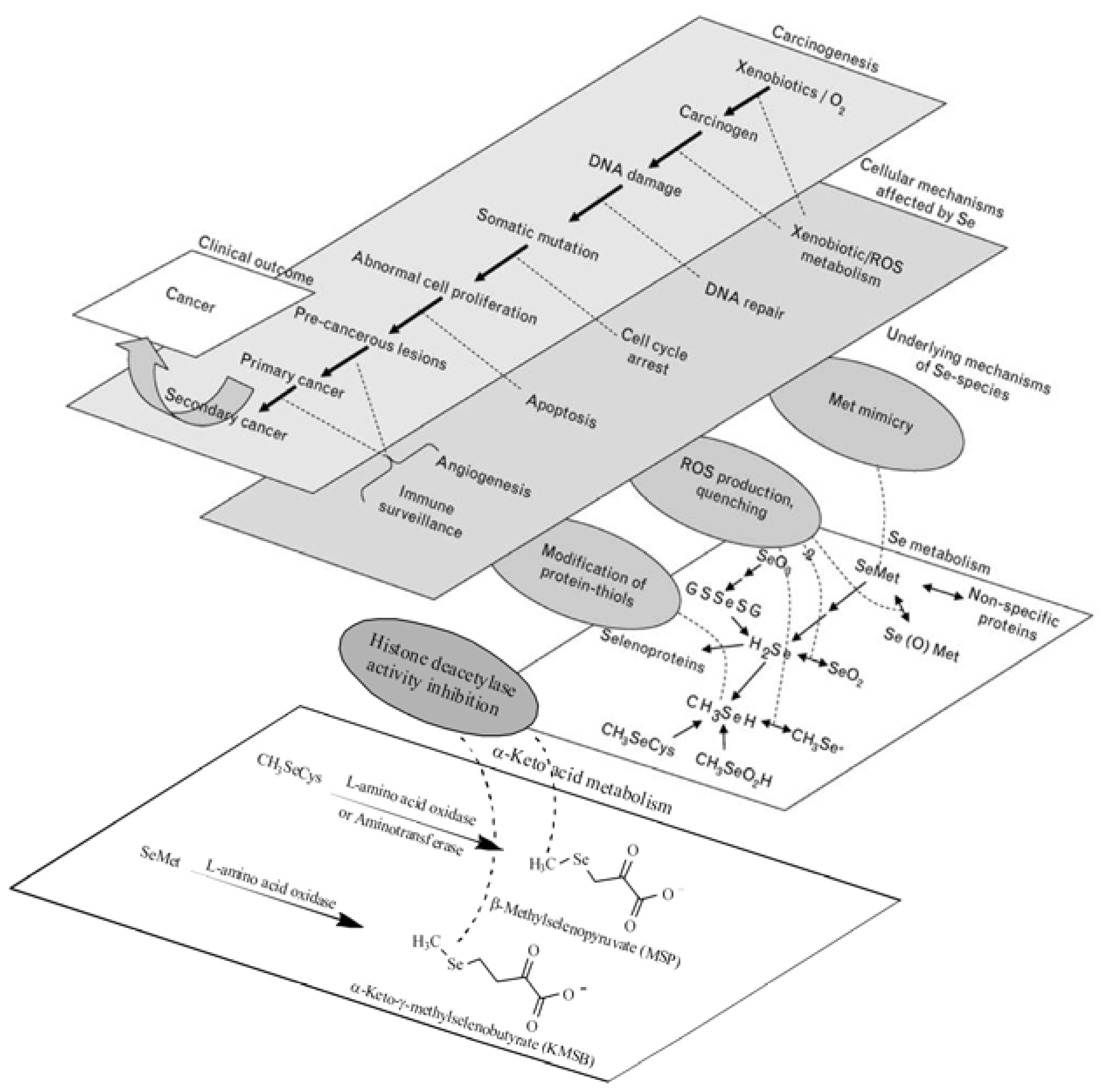 Molecules 15 07292 g001
