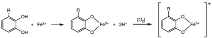 Molecules 15 07313 i004