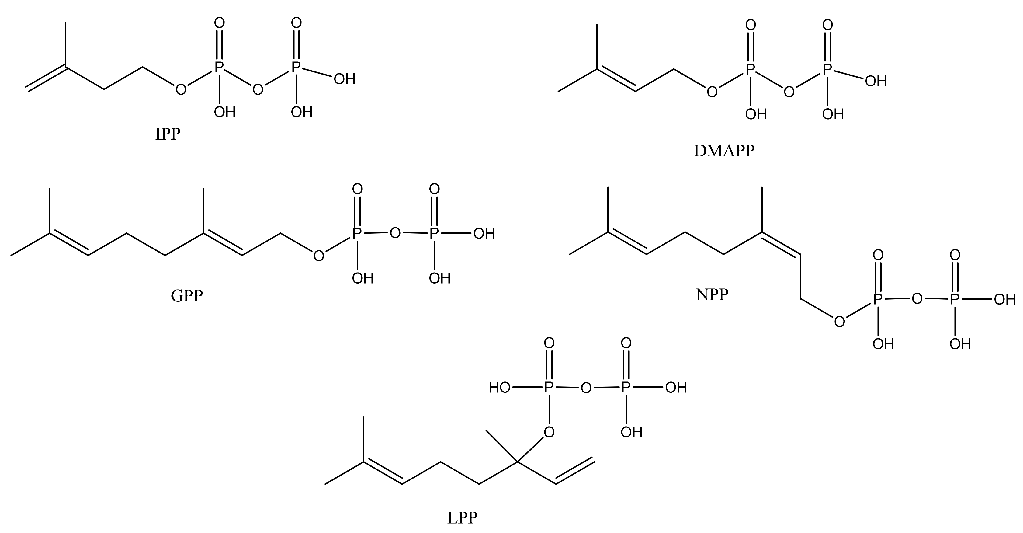 Molecules 15 07603 g002