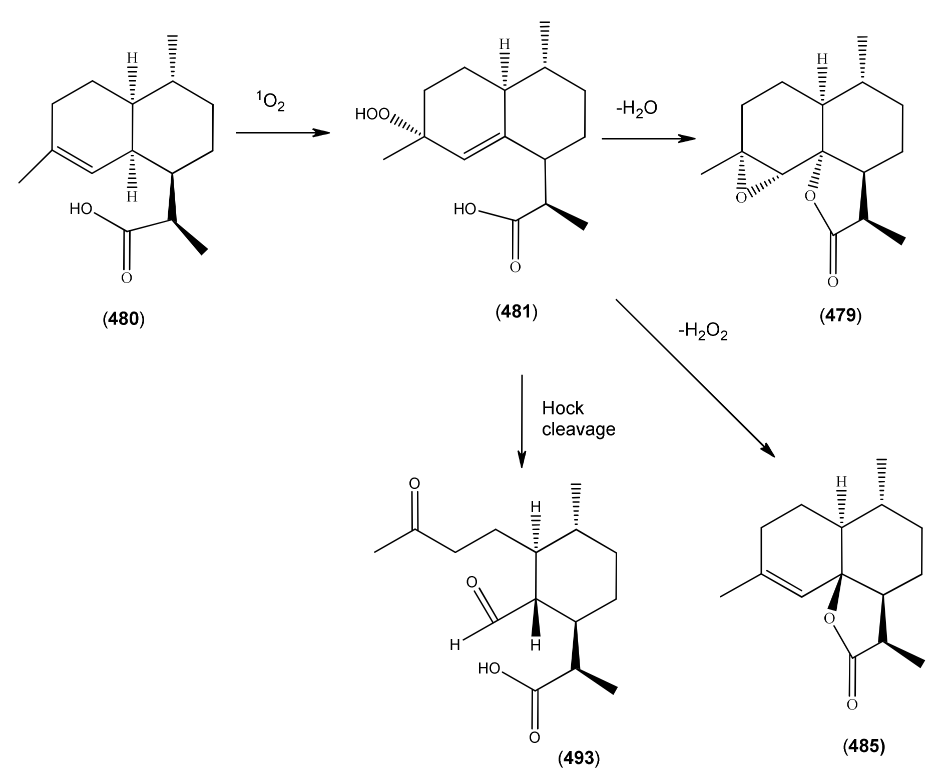 Molecules 15 07603 sch006