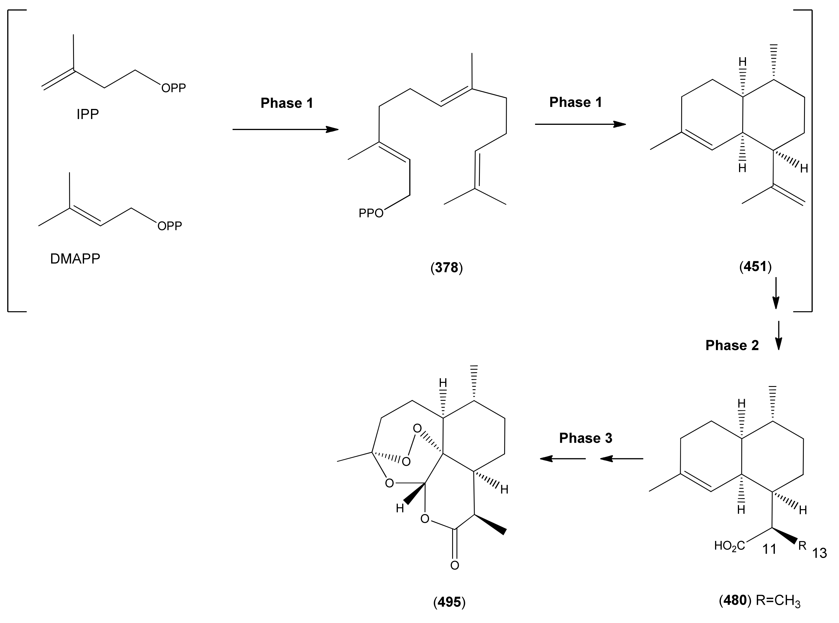 Molecules 15 07603 sch009