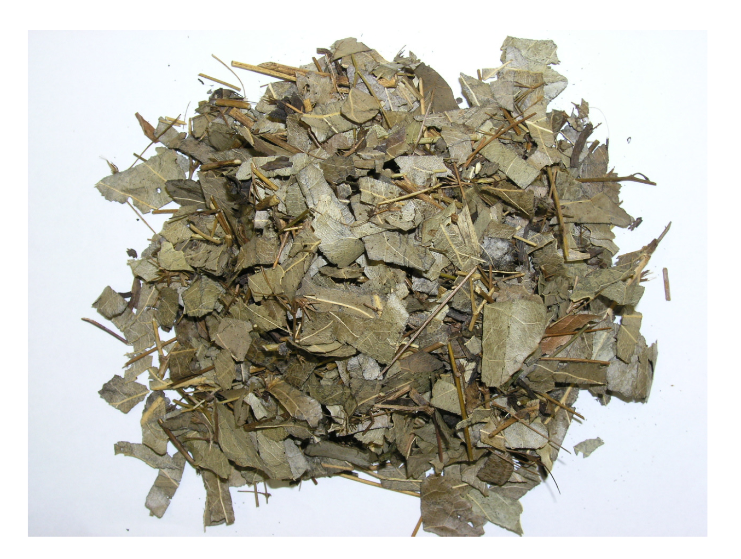 Molecules 15 07861 g001