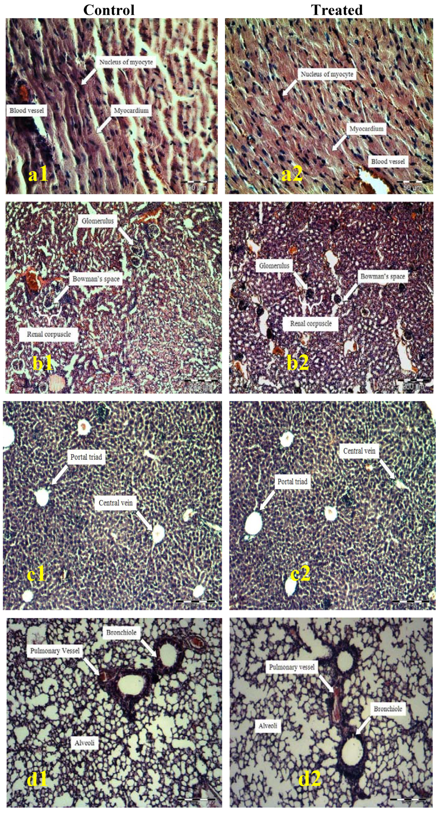 Molecules 15 08111 g001a