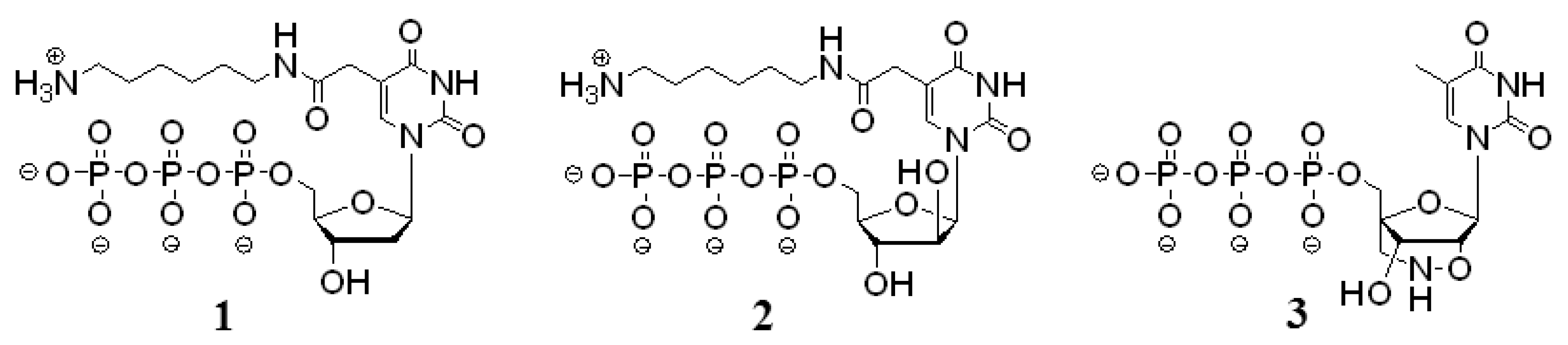 Molecules 15 08229 g001