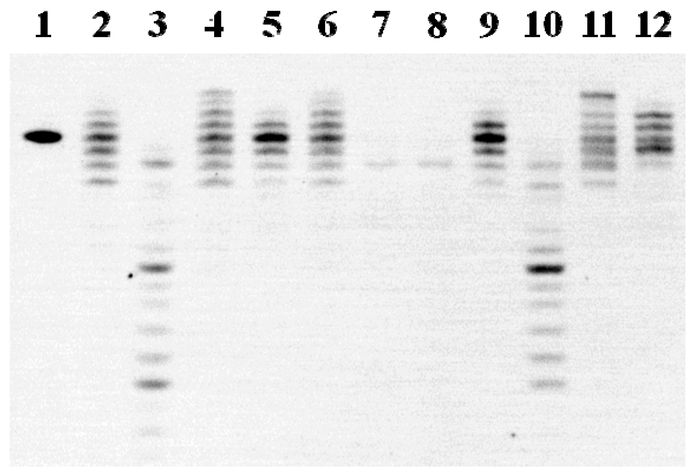 Molecules 15 08229 g002