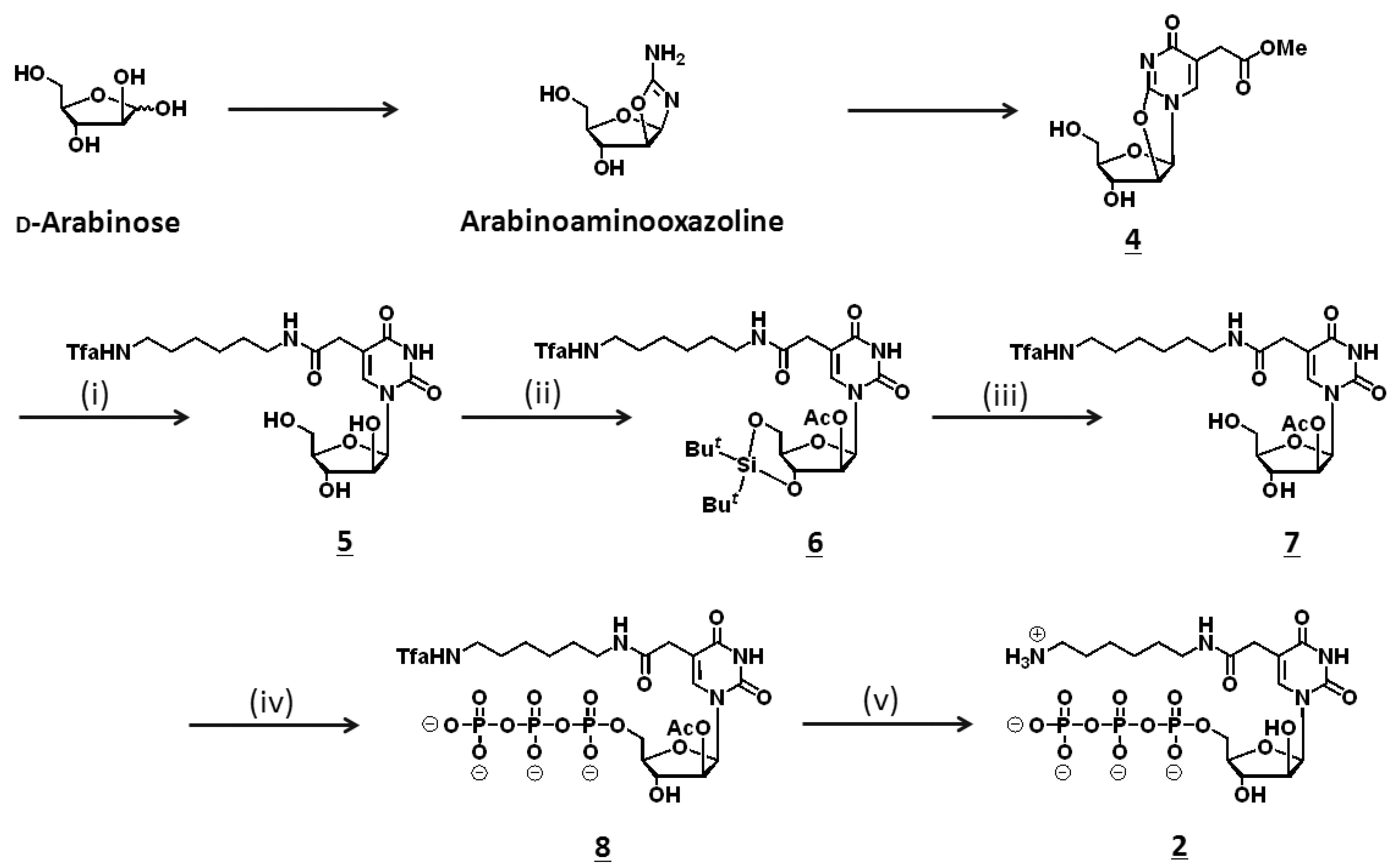 Molecules 15 08229 sch001