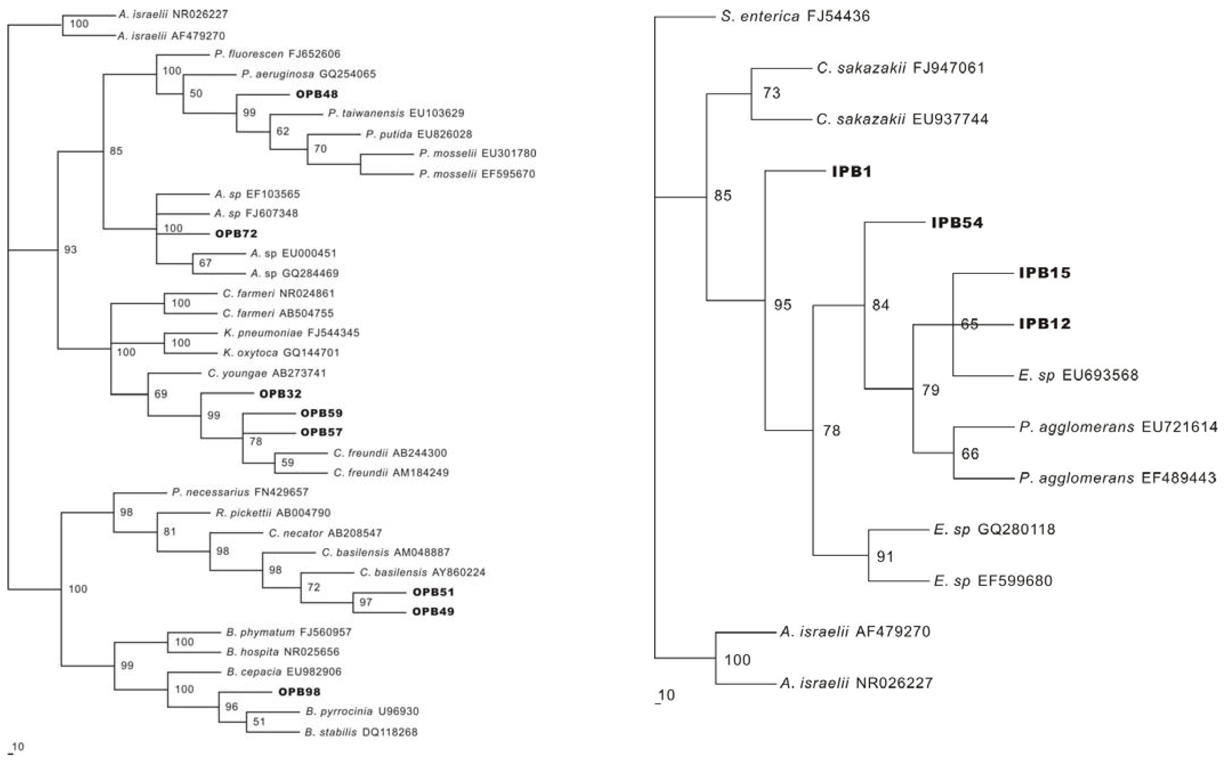 Molecules 15 08518 g002