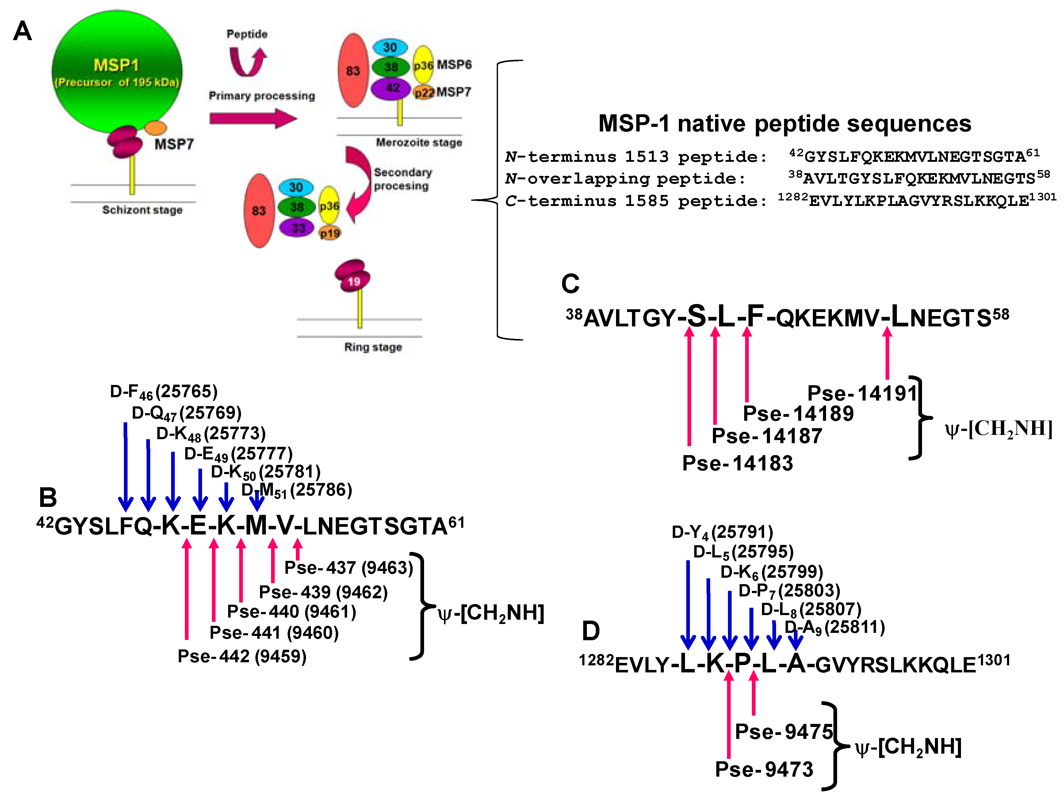 Molecules 15 08856 g002 550