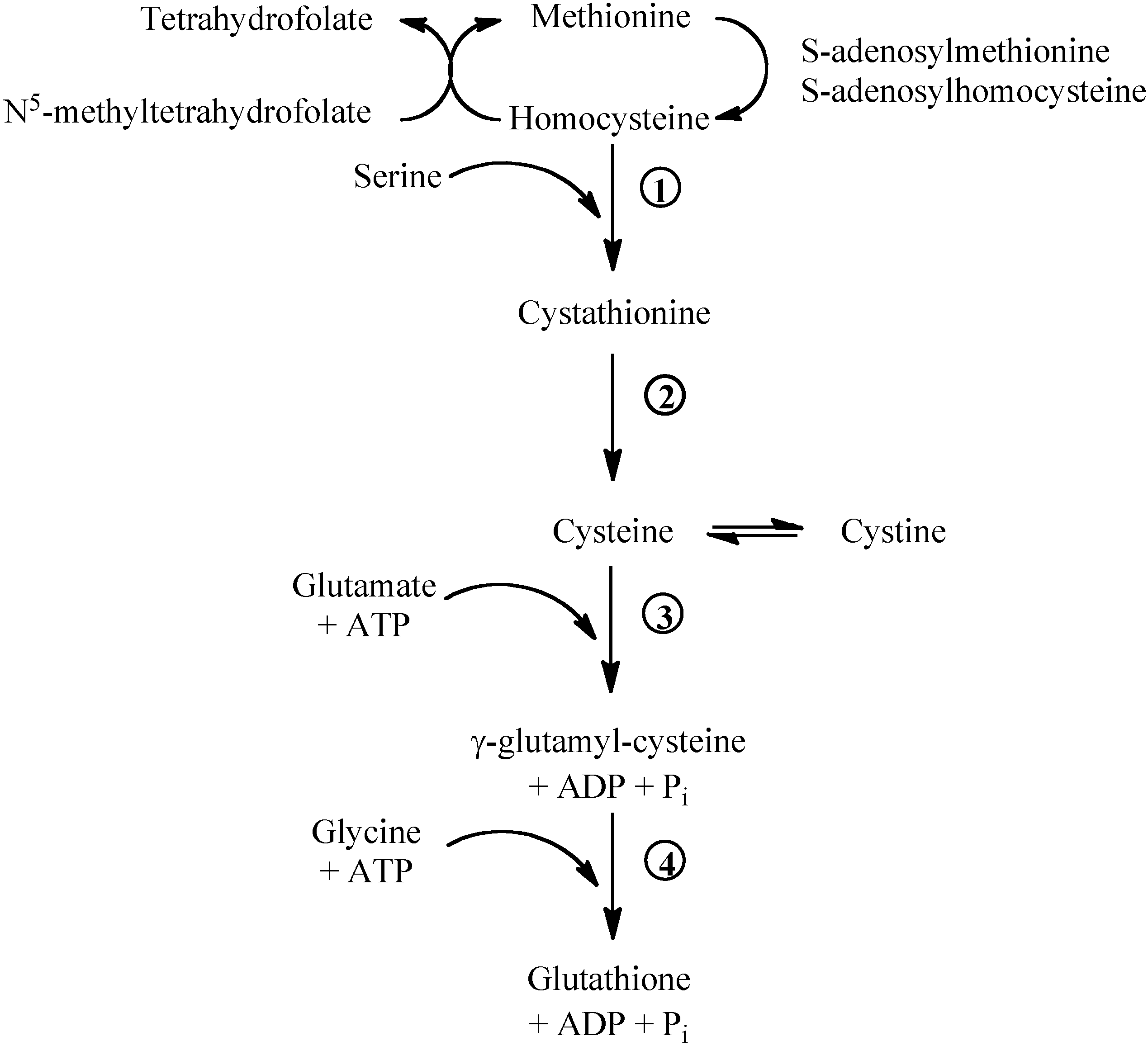 Molecules 15 08890 g001
