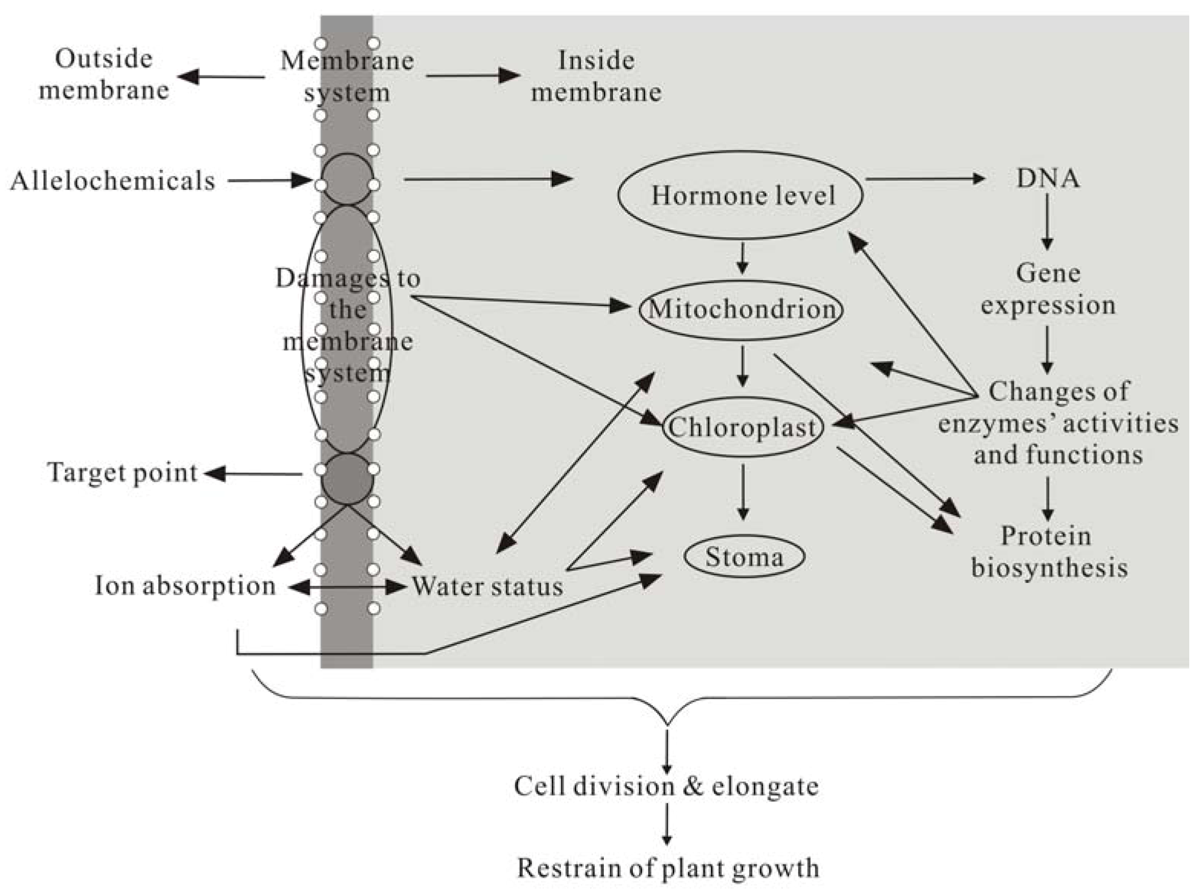 Molecules 15 08933 g008 550
