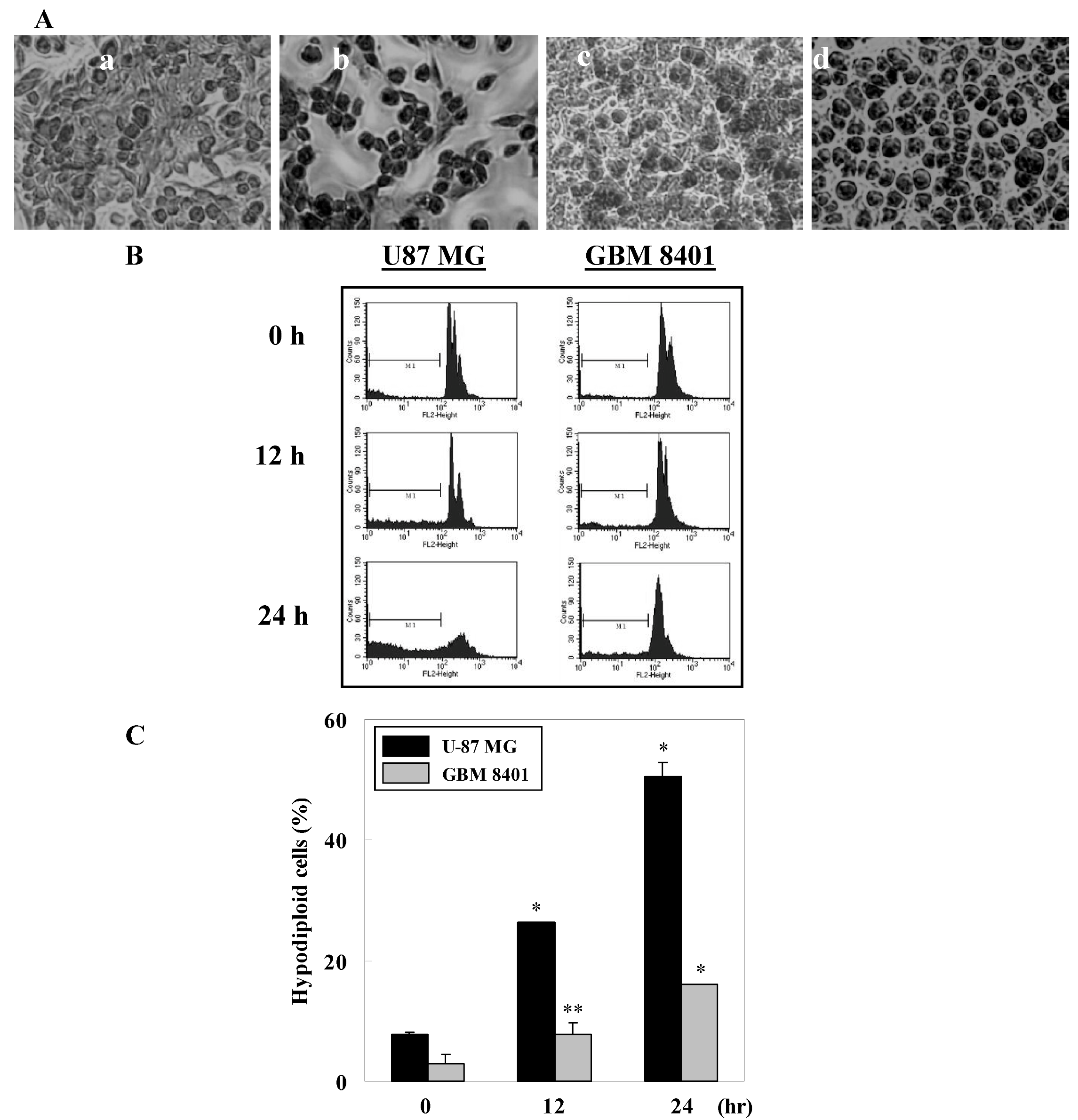 Molecules 15 08953 g002 550
