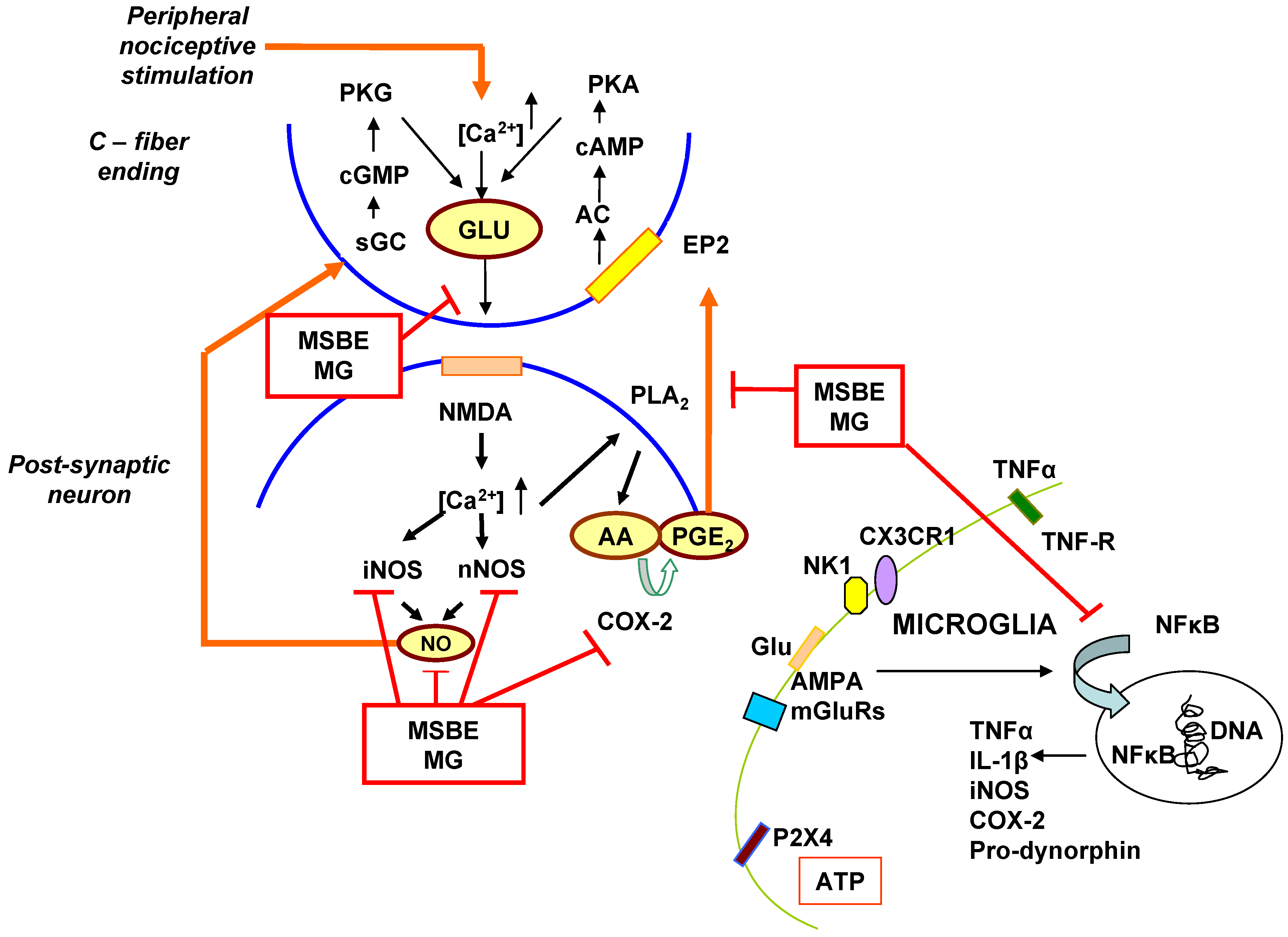 Molecules 15 09035 g001