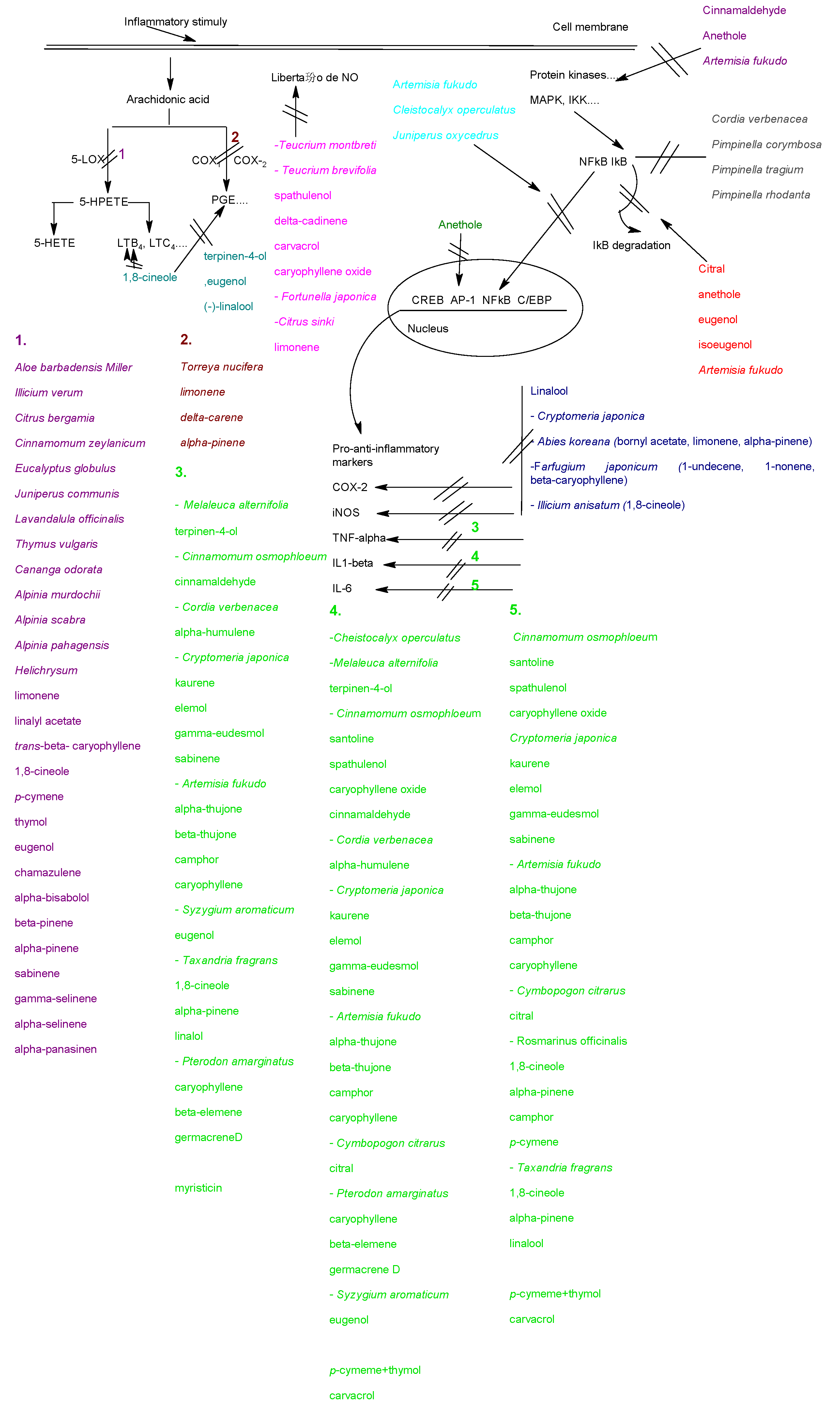 Molecules 15 09252 g001